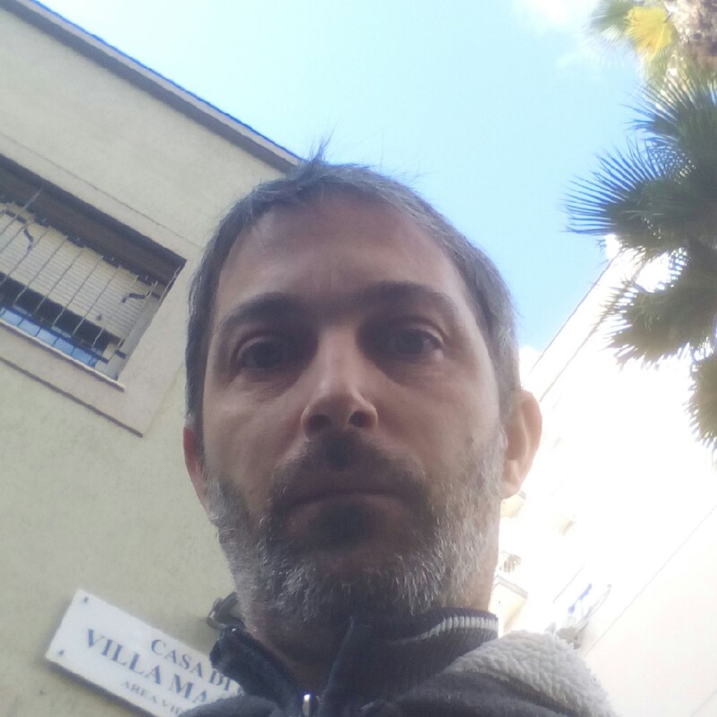 Lo show di stefano ippolito