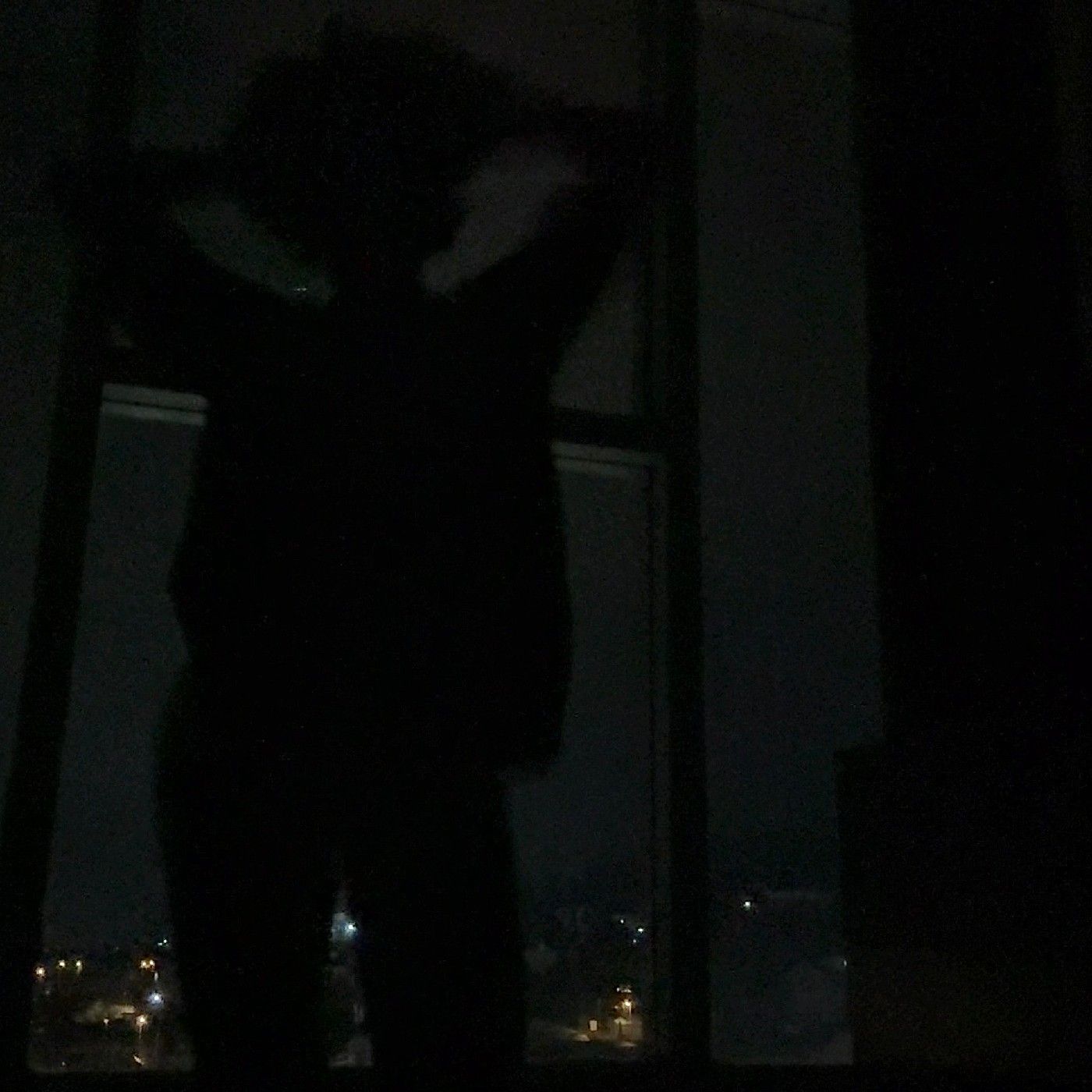 🦋BIPOLAR RYTHM 🦋