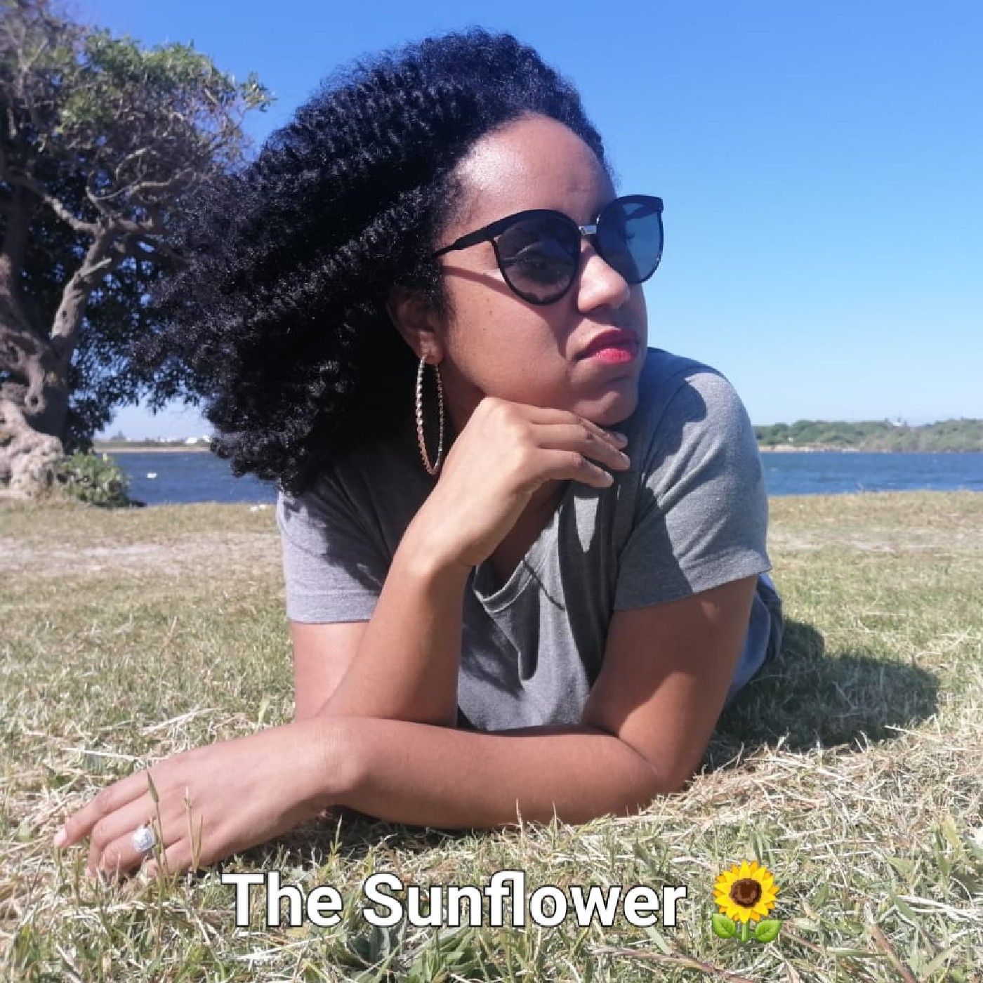 The Sunflower - By Naadia cover art