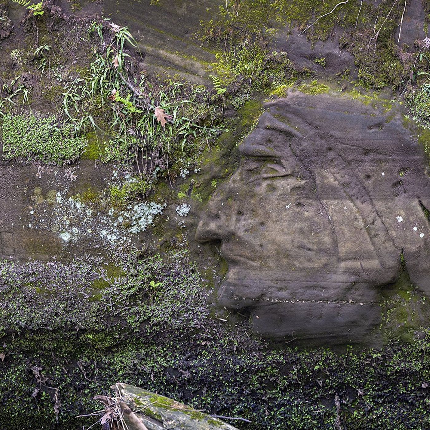 Indian Head carving found in Franklin Creek State Park episode artwork