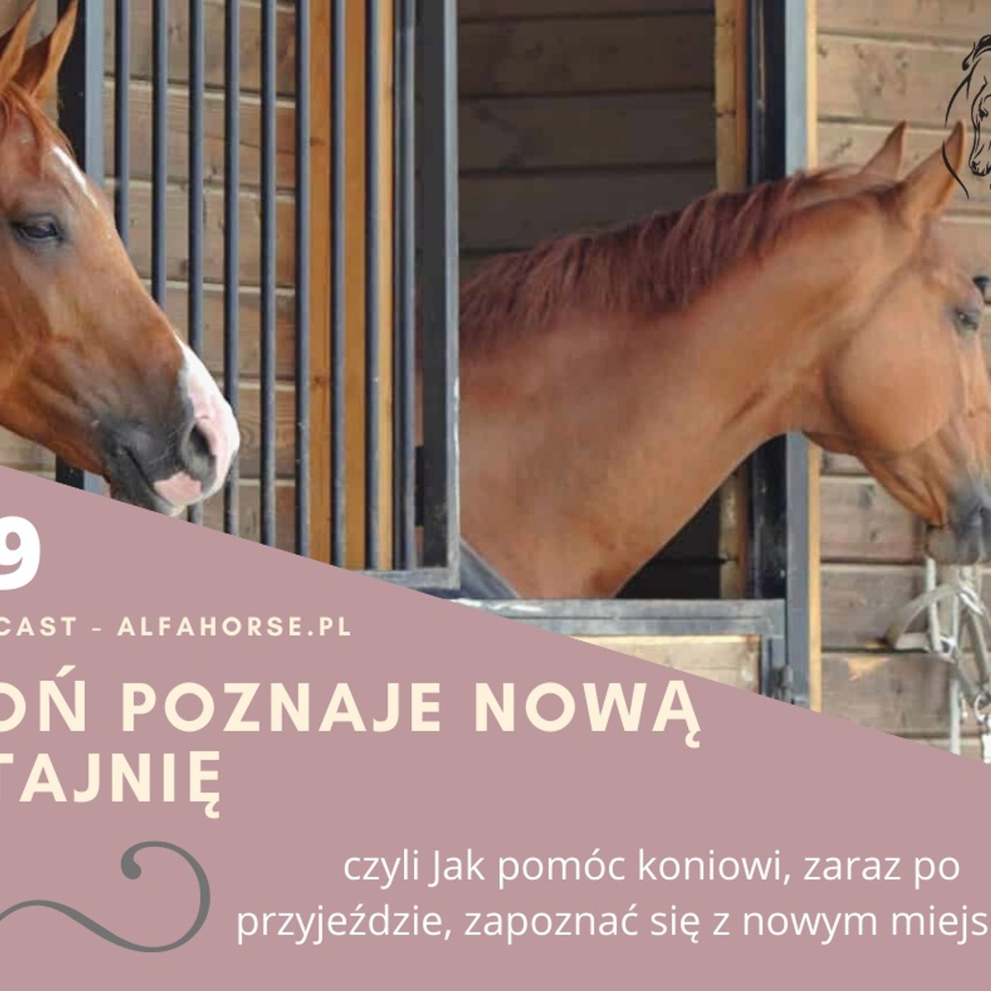 Podcast 19: Koń poznaje nową stajnię episode artwork