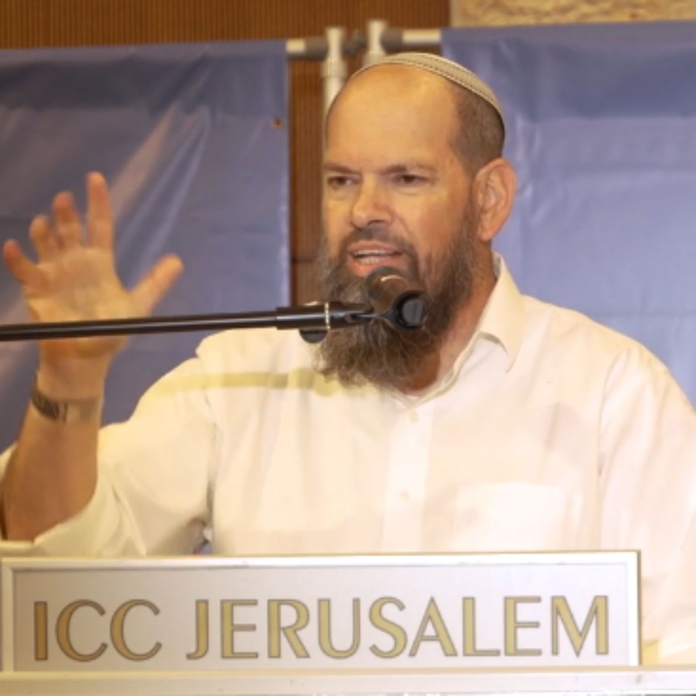 מצב הנפש בזמן הווידוי – איך נכון להתוודות ואיך לא? | הרב אייל ורד | כנס תשובה מאהבה תשפ”ז episode artwork