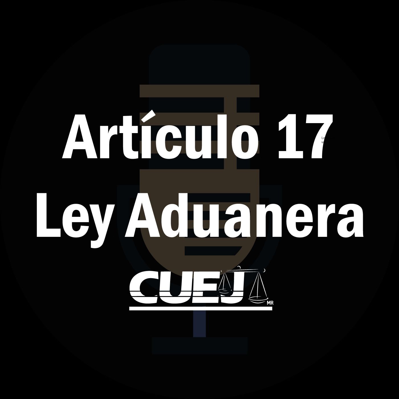 Audio Ley Aduanera