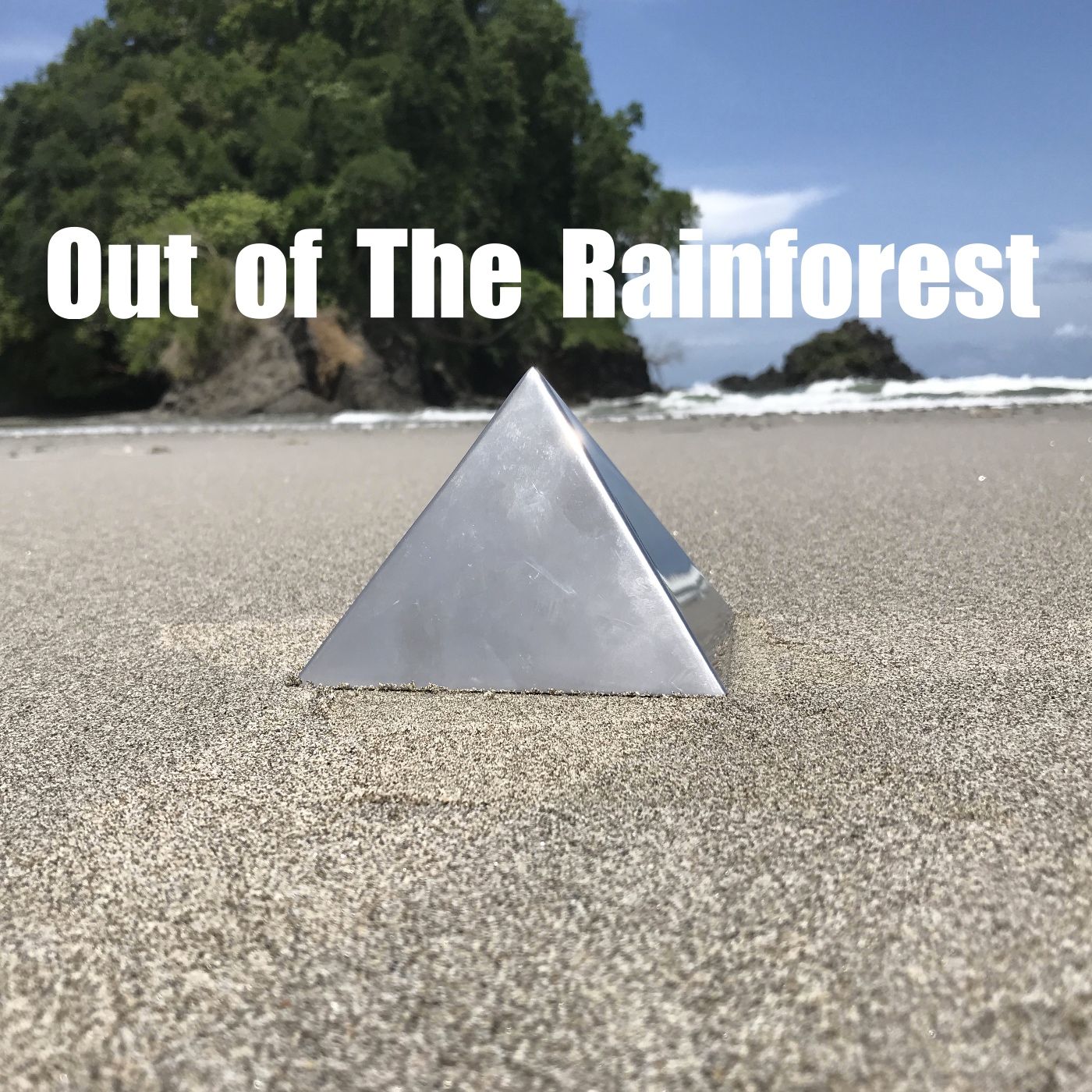 Out of The Rainforest