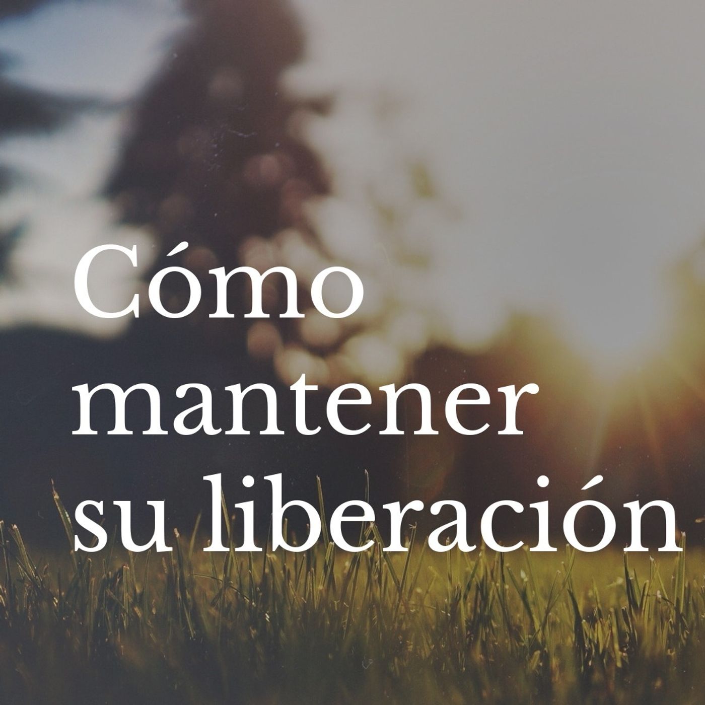 3. Como mantener tu libertad episode artwork