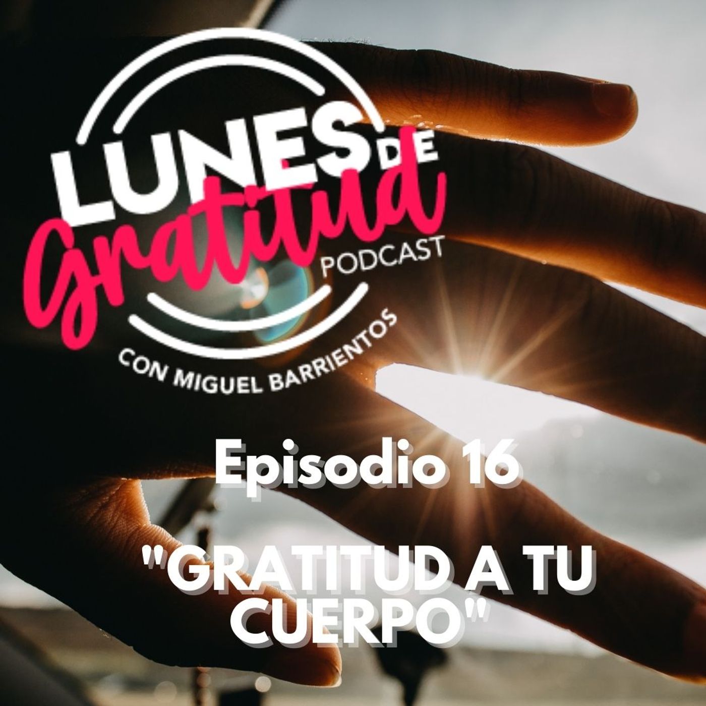 Lunes de Gratitud