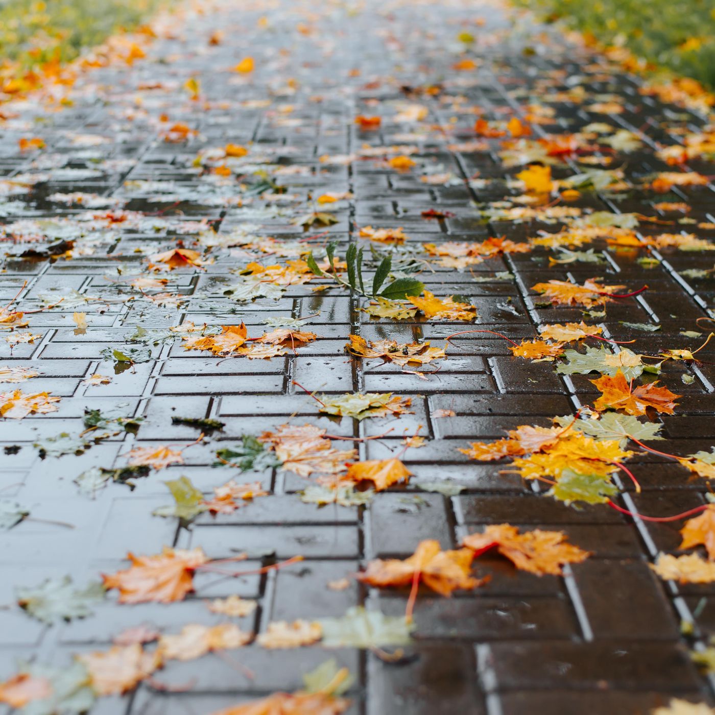 Sleep Sounds by Tmsoft