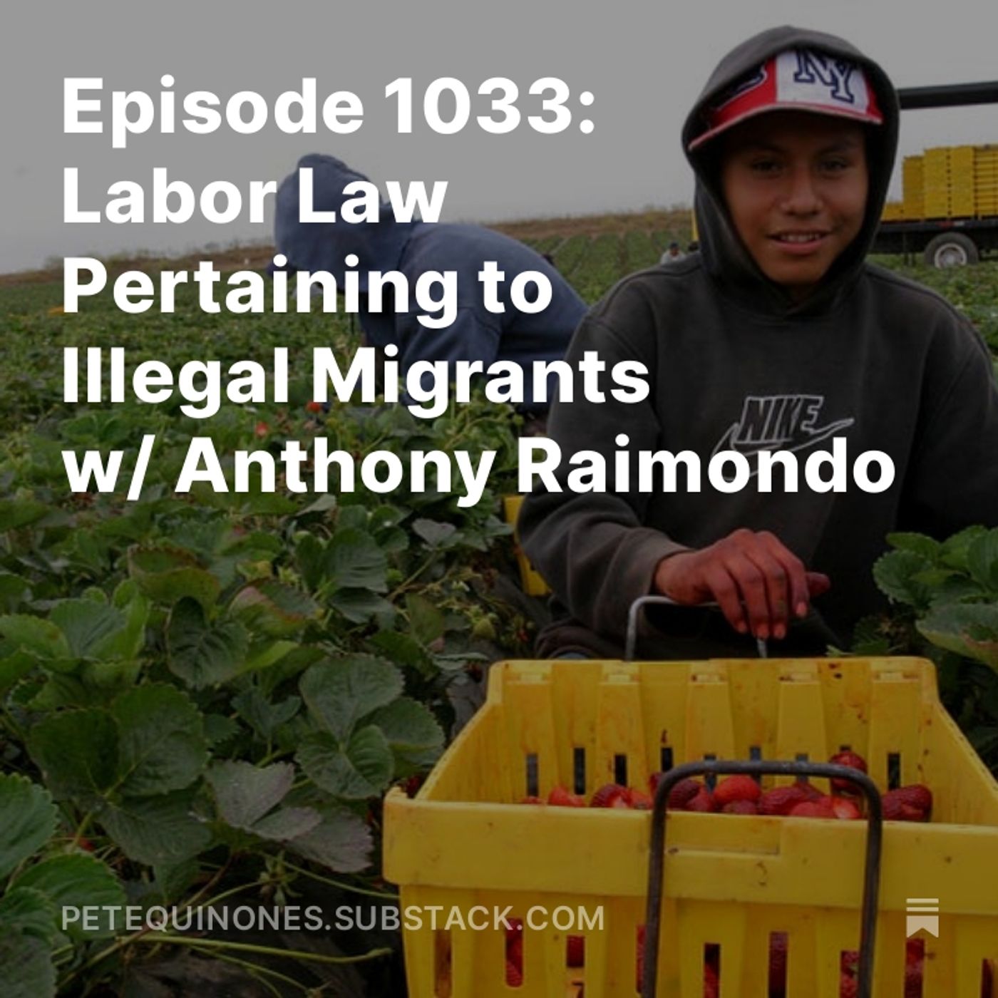 Episode 1033: Labor Law Pertaining to Illegal Migrants w/ Anthony Raimondo