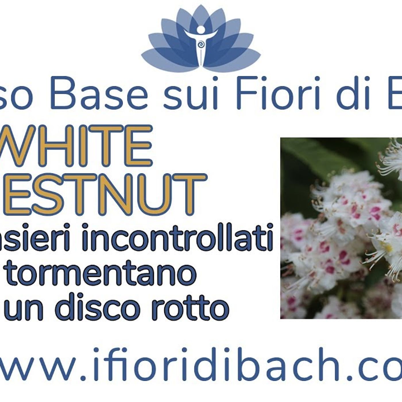 Fiori di Bach in pillole