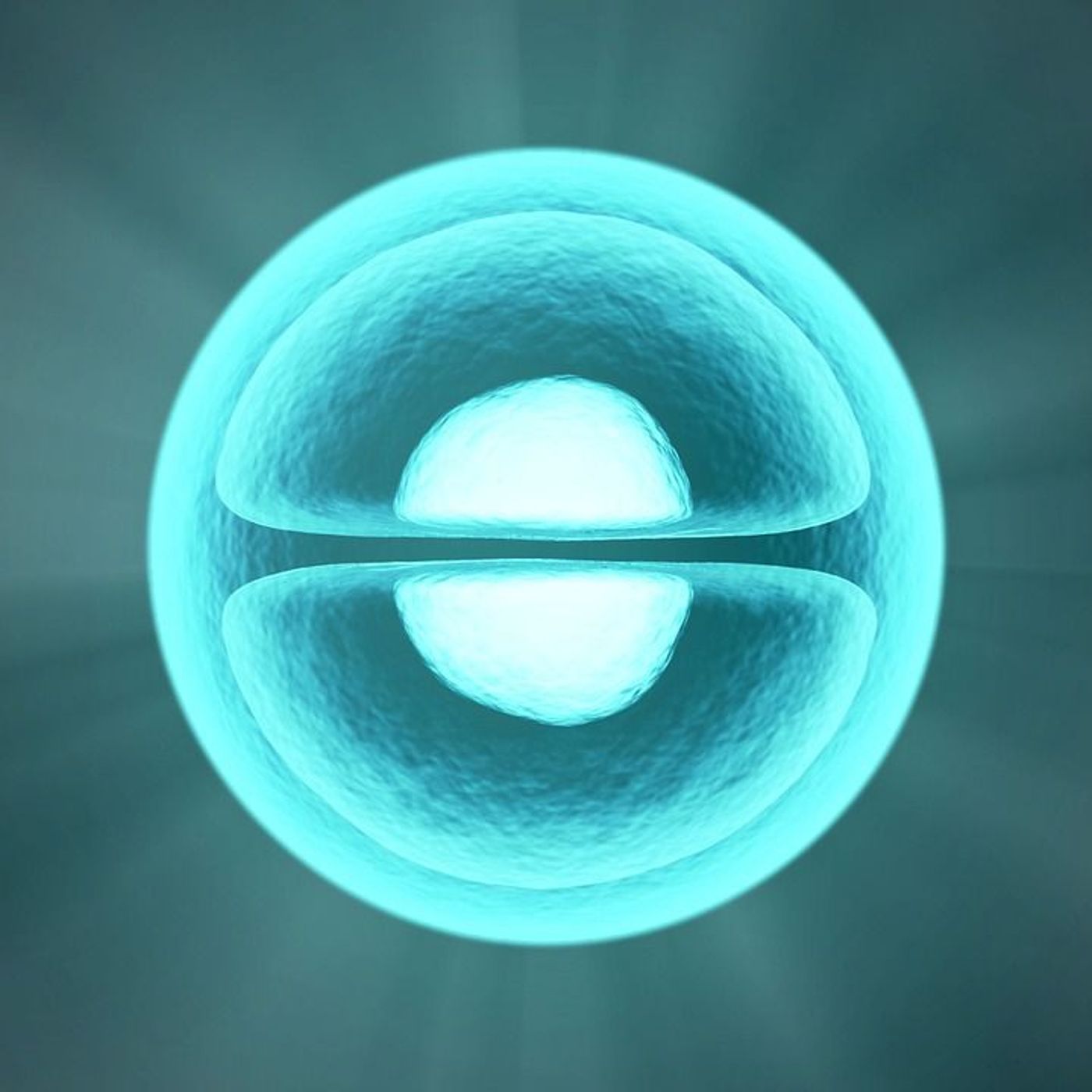 RADIOH2E Cellule della macchina biologica è ''colla'' episode artwork