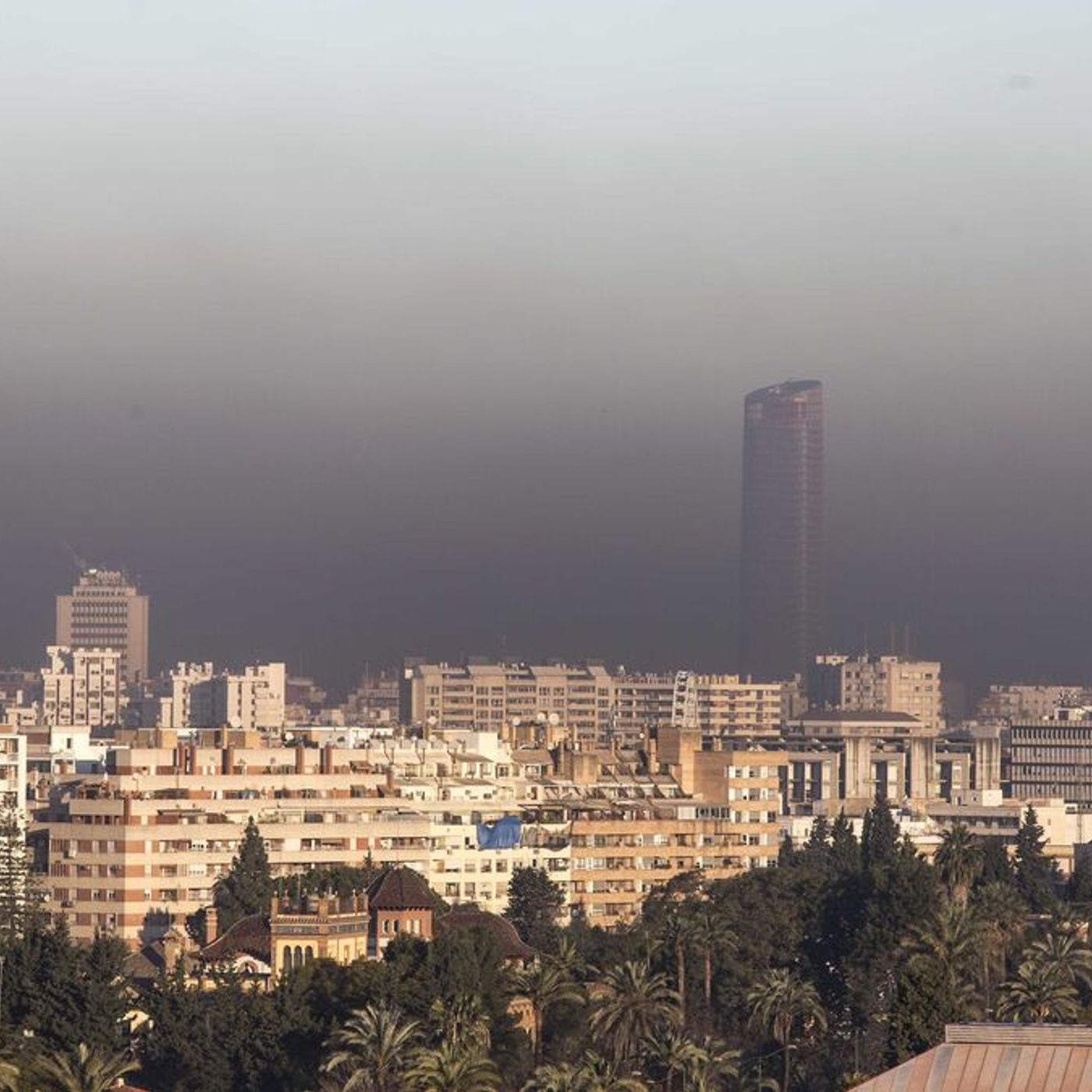 la ciudad: una isla de calor