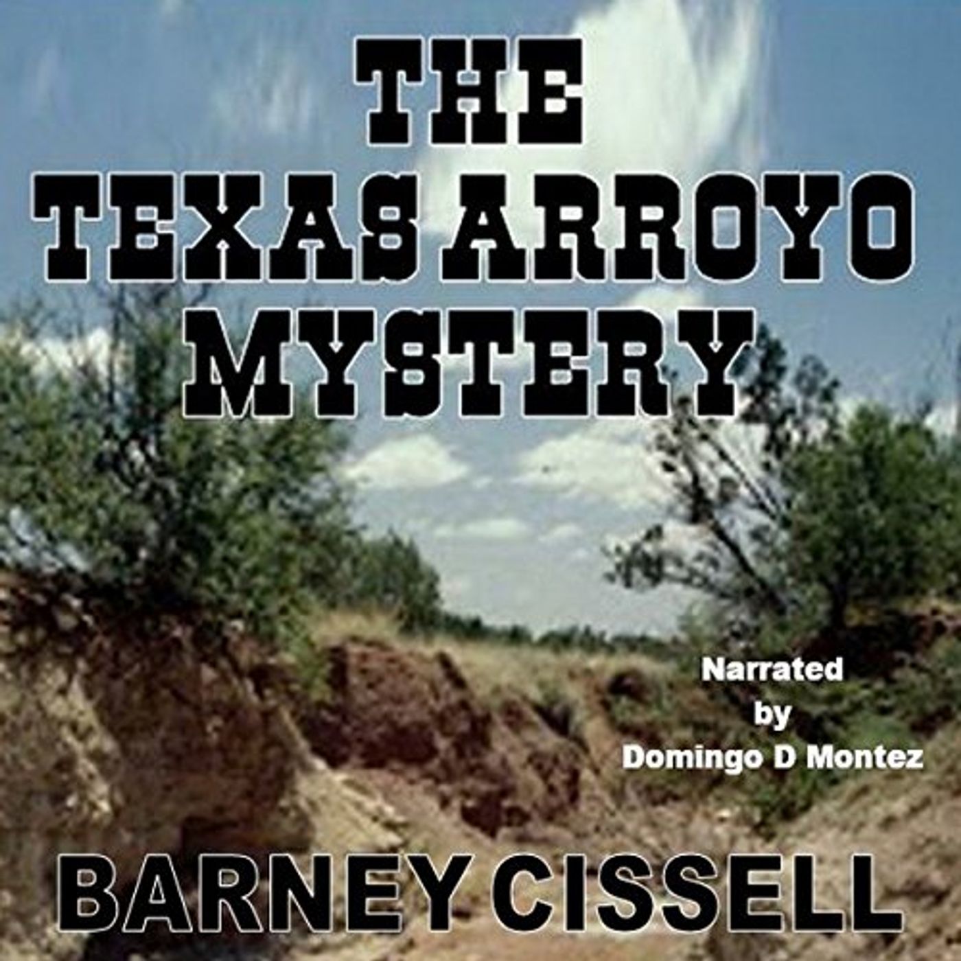 Listen to Most Popular Audiobooks in Fiction, Westerns