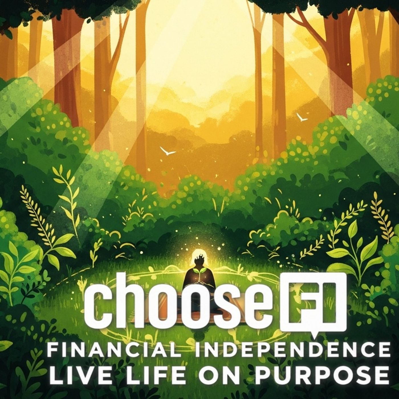ChooseFI | Financial Independence Podcast