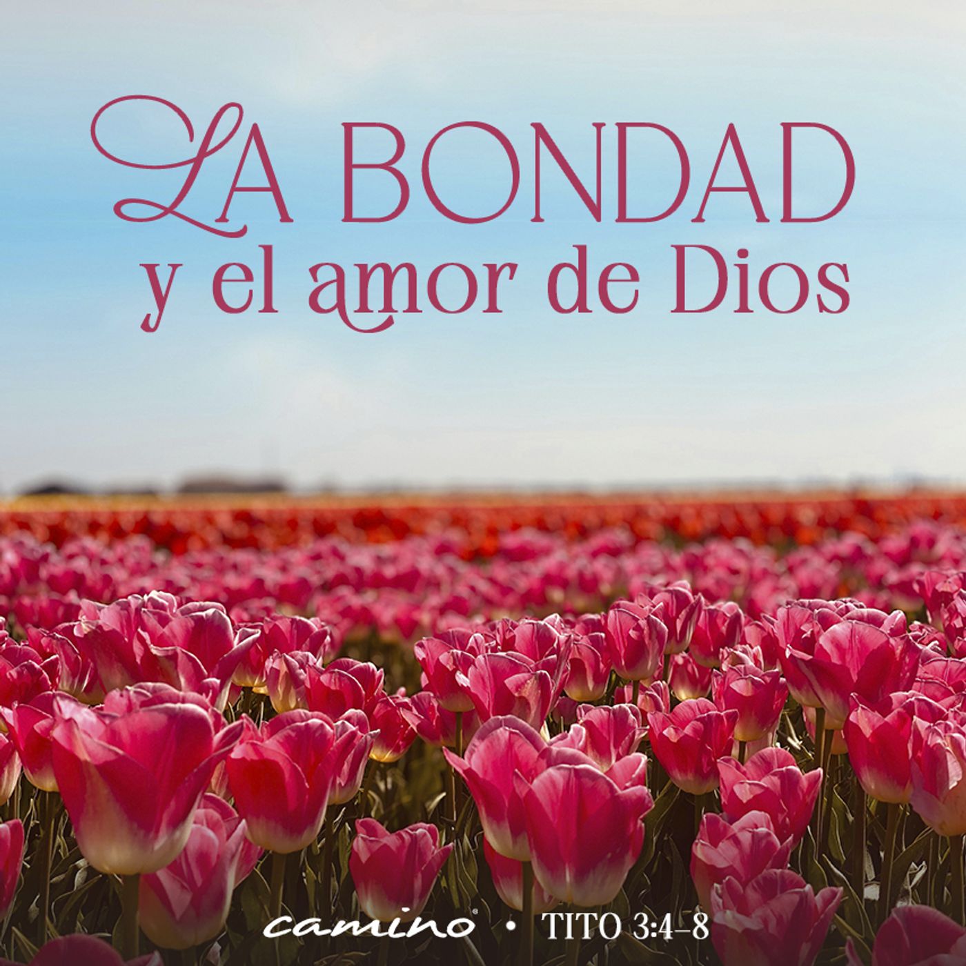 Oración 27 de febrero (La bondad y el amor de Dios) episode artwork