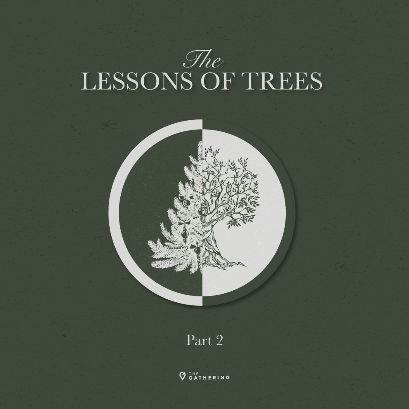 The Lesson of the Trees - Part 2 episode artwork