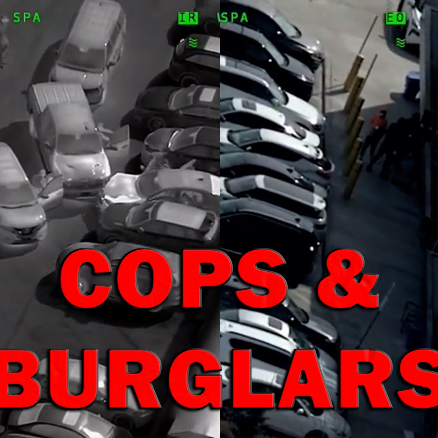 Teenagers Surrounded By Cops After Failed Jewelry Store Burglary On Video! LEO Round Table S10E59 episode artwork