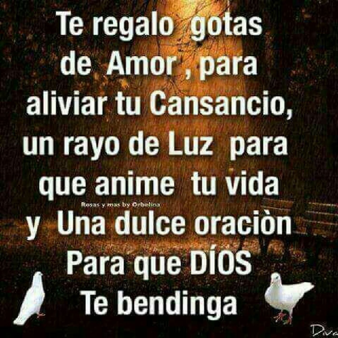 Momentos Con DIOS