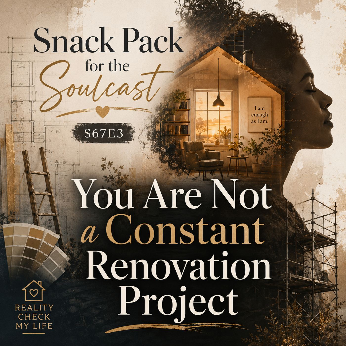 Snack Pack S67E3: You Are Not a Constant Renovation Project episode artwork