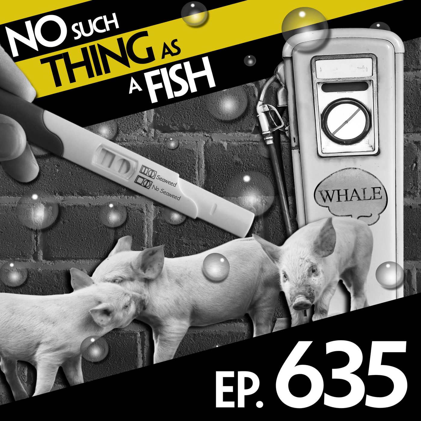 No Such Thing As A Whale In Your Car episode artwork