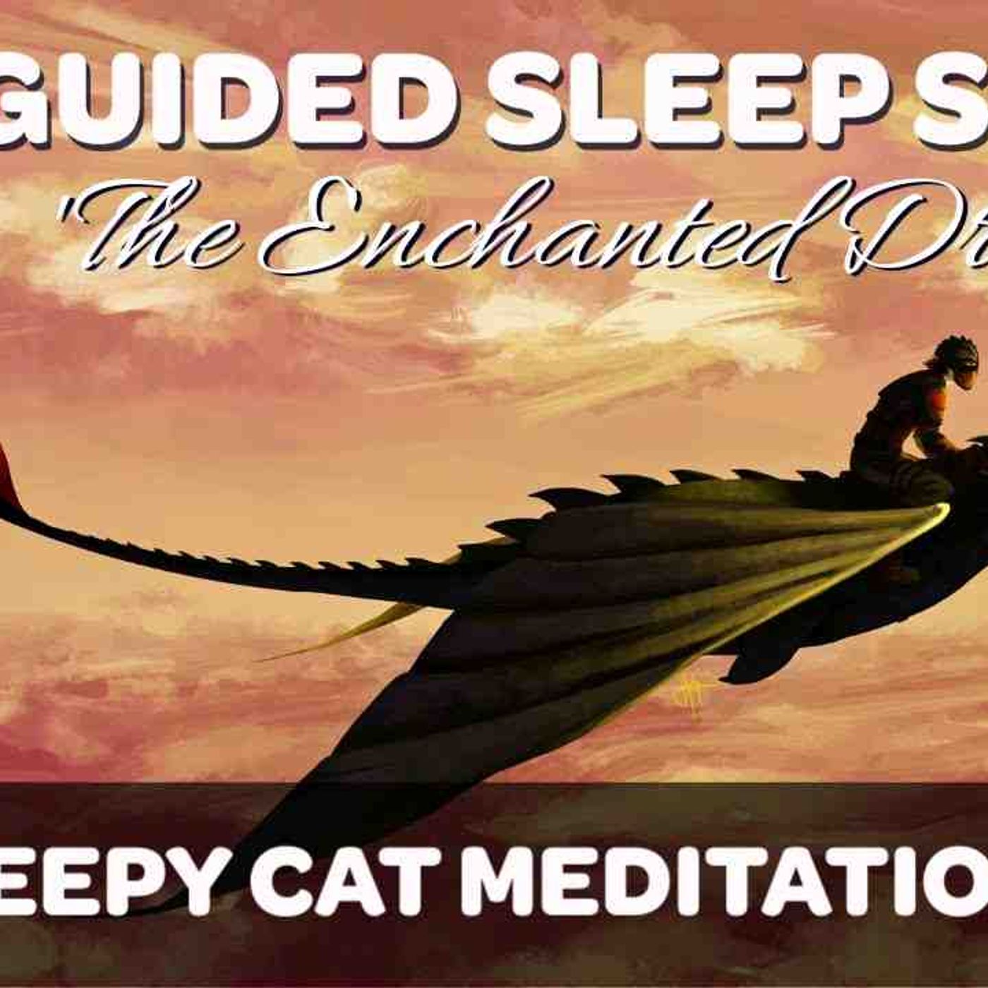 The Enchanted Dragon - Guided Sleep Story with Music _ SFX (Inspired by How to Train Your Dragon) episode artwork