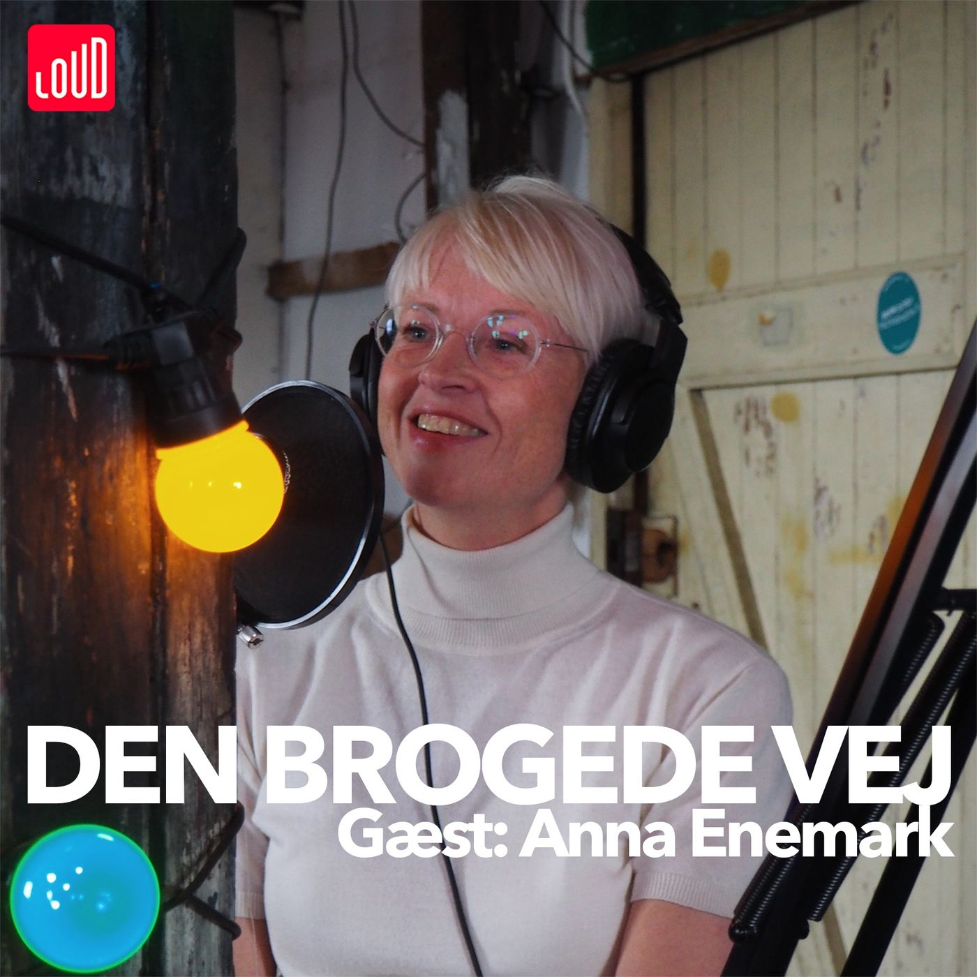 Den Brogede Vej
