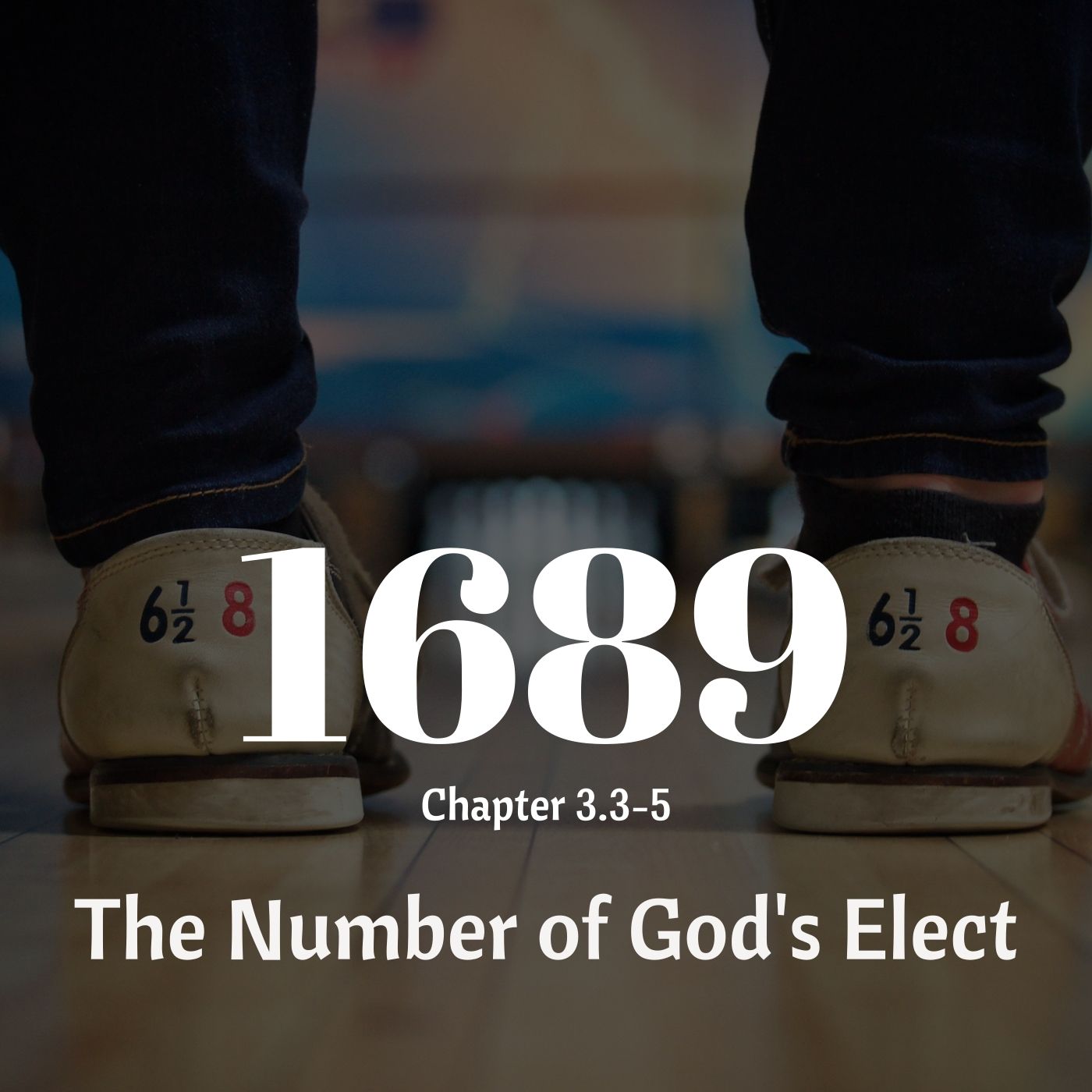 #38 The Number of God’s Elect - 1689 LBC 3.3-5
