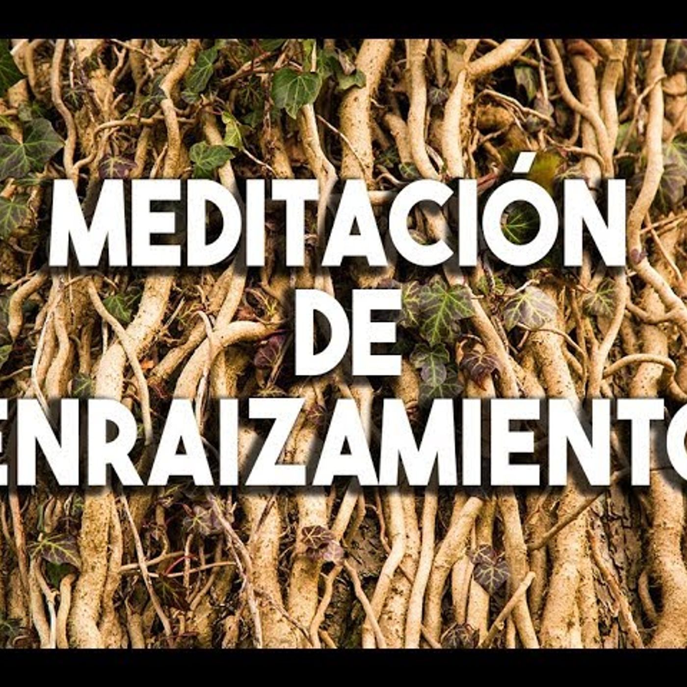 MEDITACIÓN PARA AFRONTAR SITUACIONES DIFÍCILES _ MEDITACIÓN ENRAIZAMIENTO _ DORMIR _ ÉXITO ❤EASY ZEN(M4A_128K) episode artwork