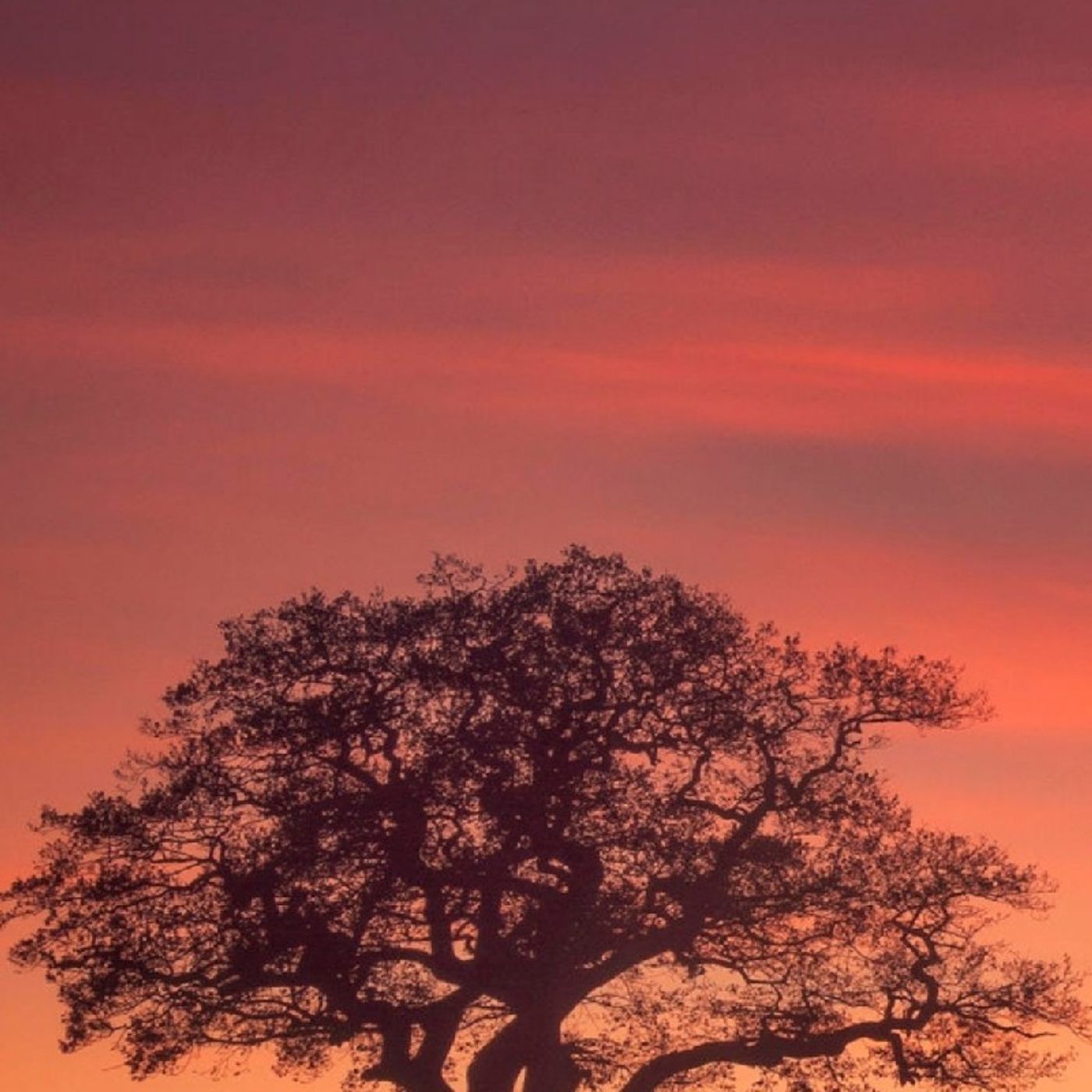 kaushal srivastava\'s show