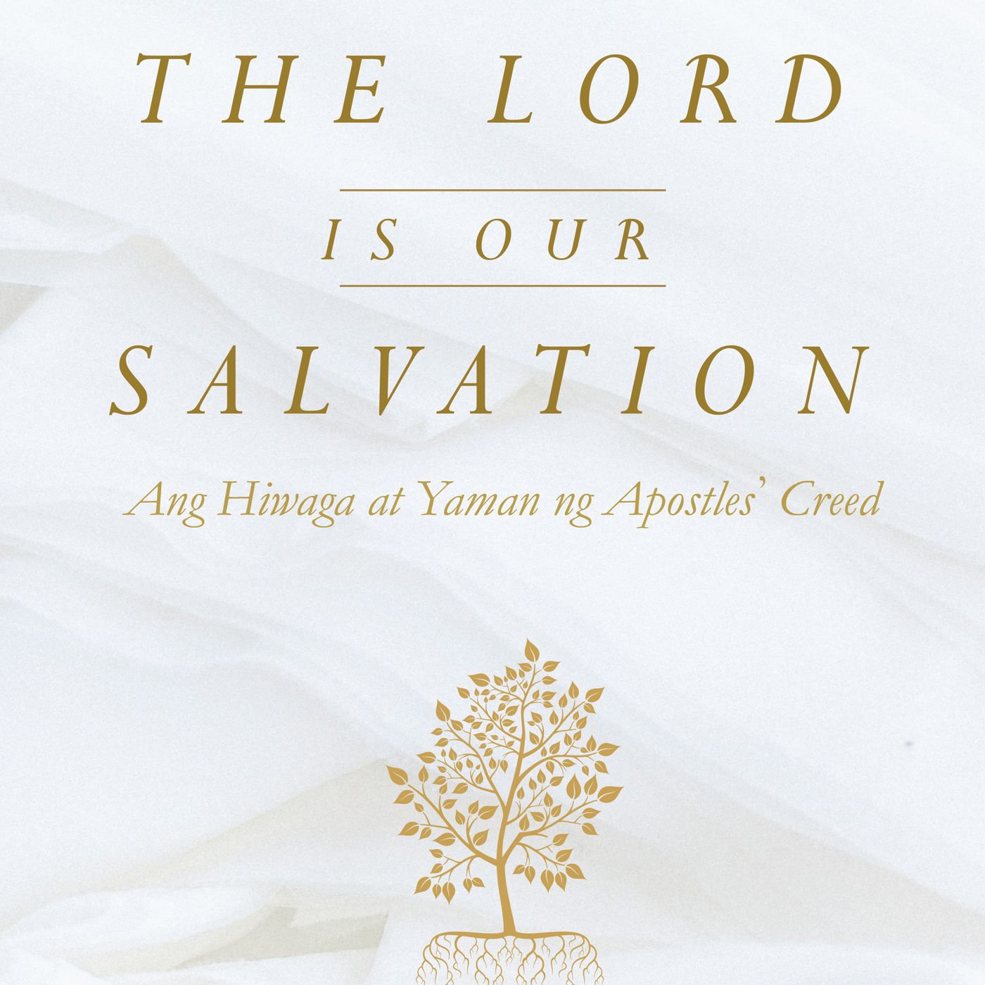 The Apostles' Creed Part 10 - I Believe in the Holy Spirit episode artwork