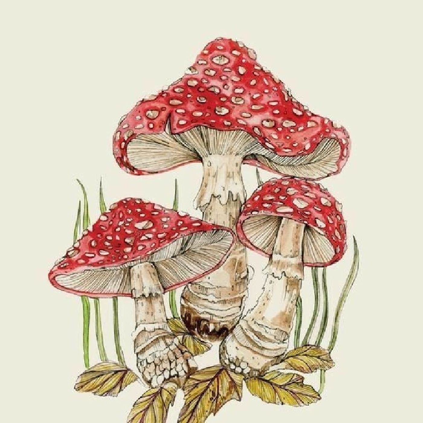 Fungicast! Alondra Alvarado ILE S1 🍄🍄 episode artwork