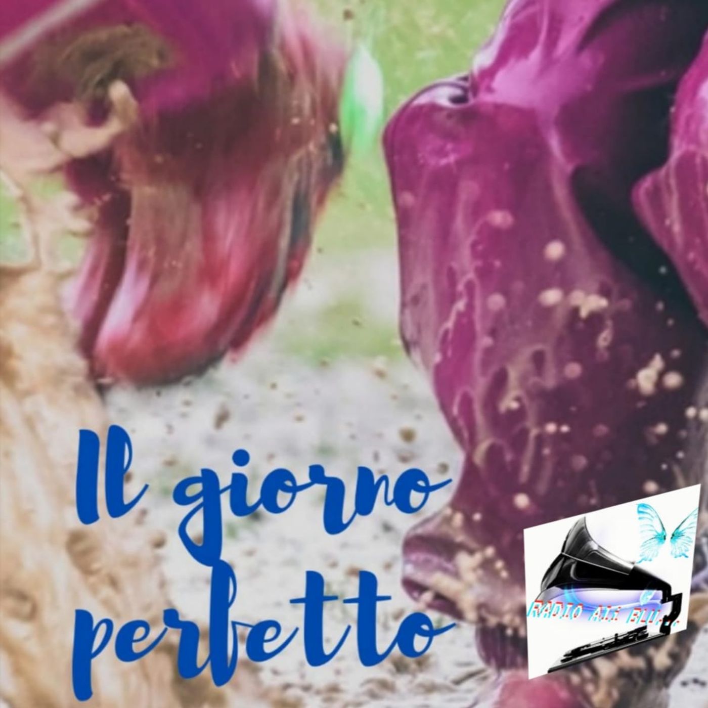 Radio Ali Blu... Il podcast delle emozioni!