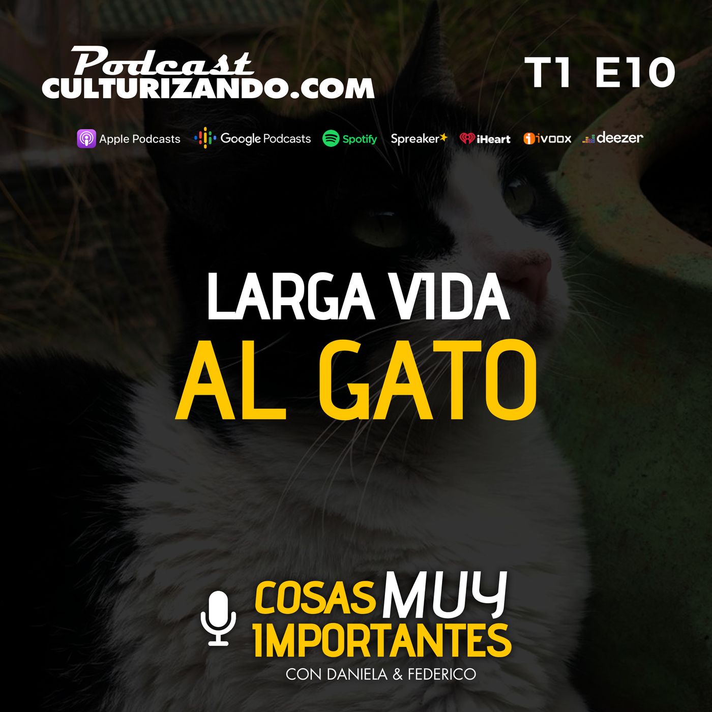 Cosas muy importantes • Historia Curiosa