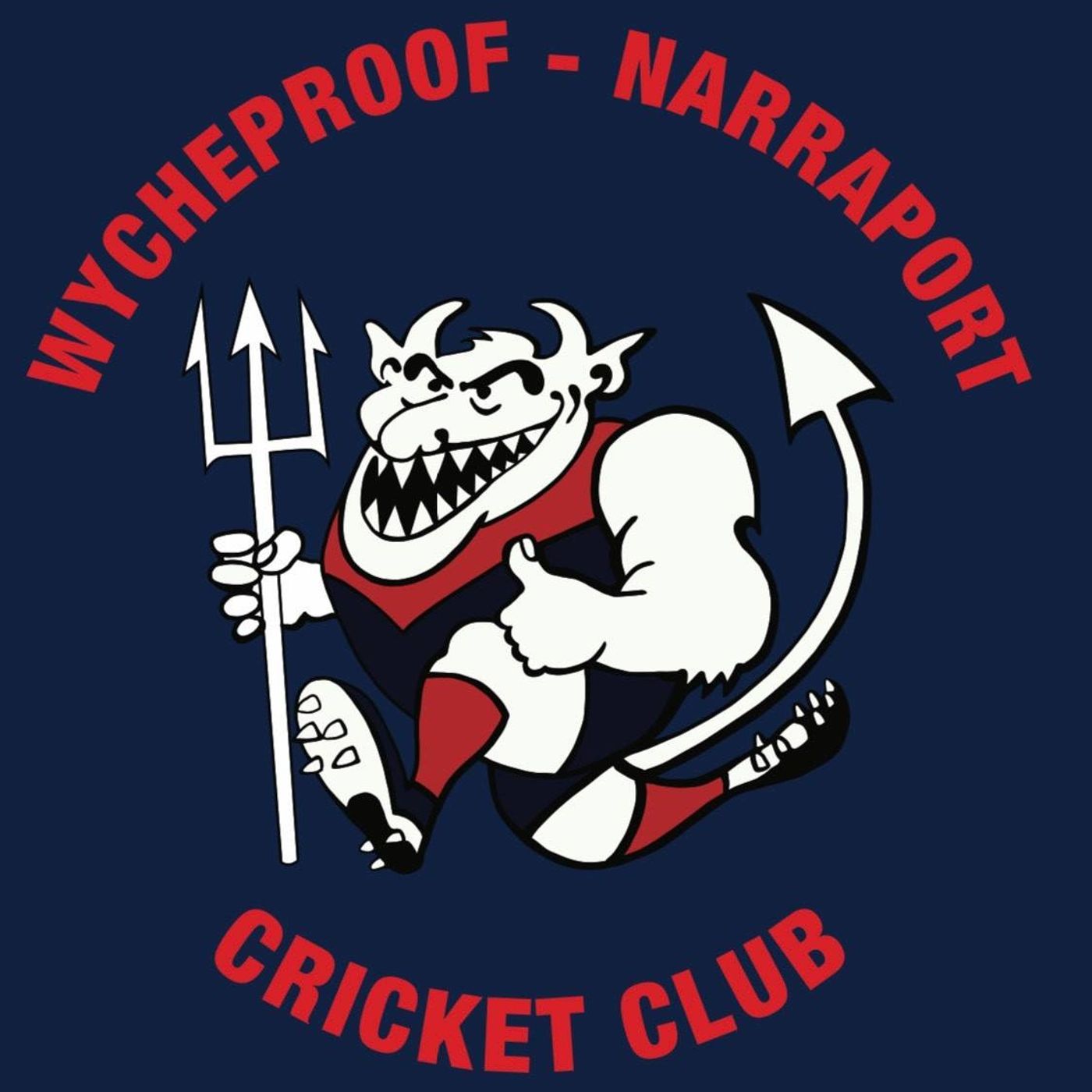 Tom Trewin joins Flow Sports to preview the Currie Cup between old rivals Wycheproof and Narraport episode artwork
