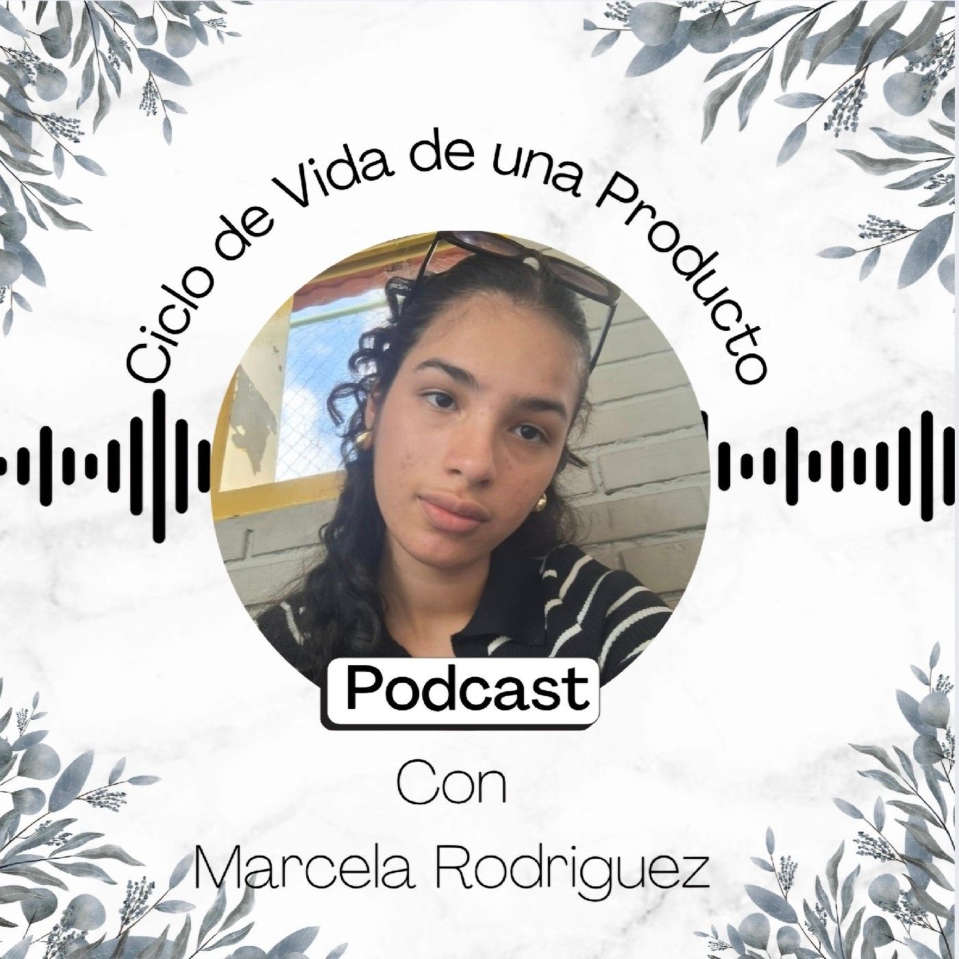 Ciclo de Vida de un Producto