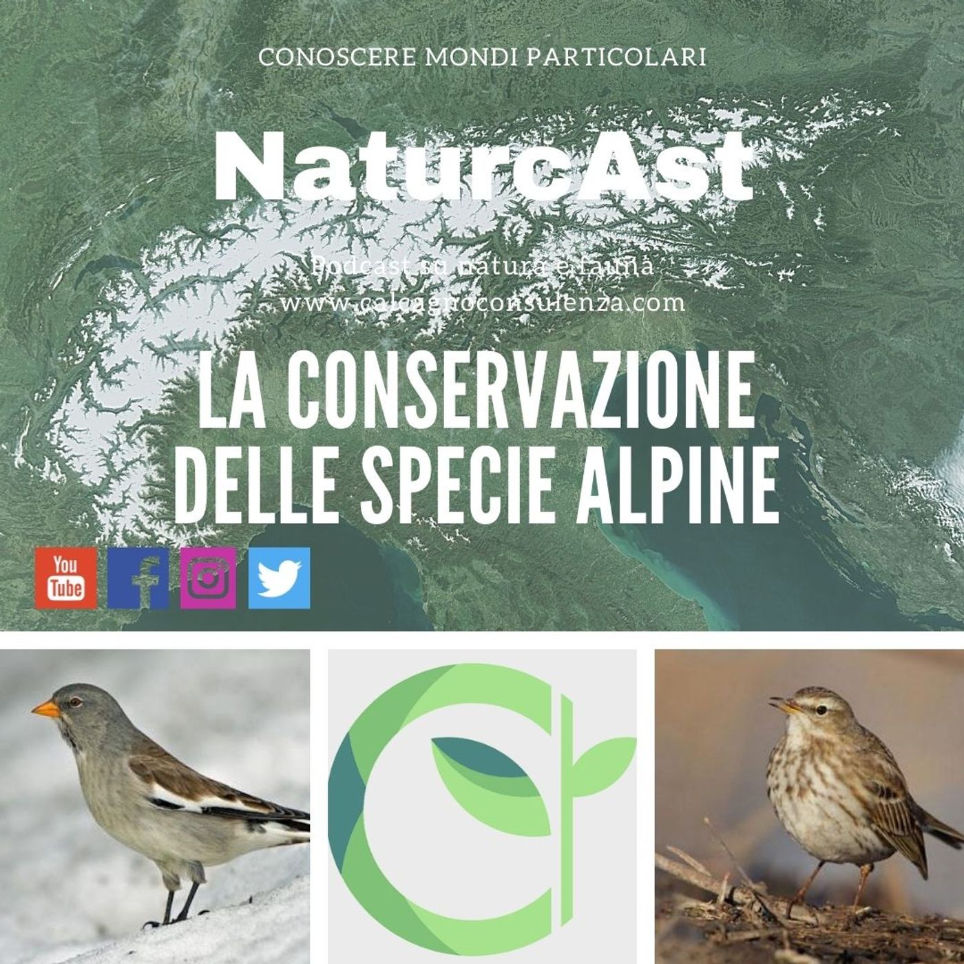 NaturcAst