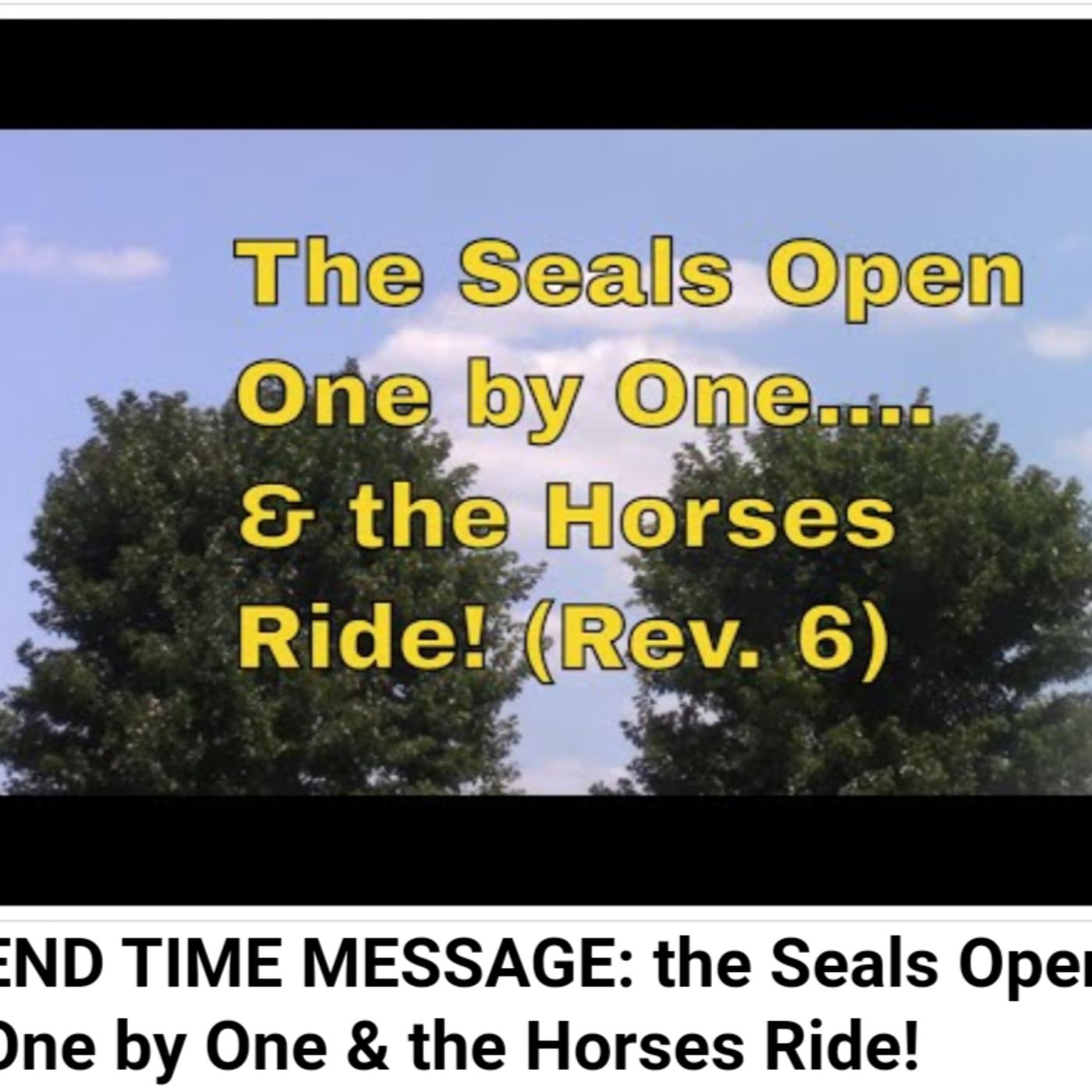 END TIME MESSAGE: the Seals Open One by One & the Horses Ride! episode artwork