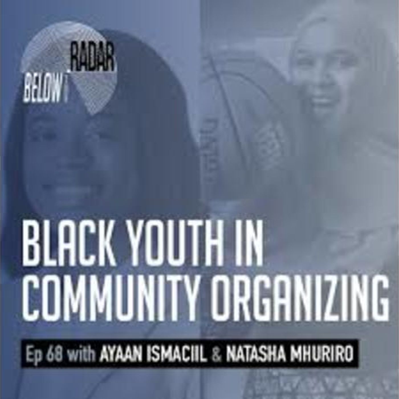 WHAT DOES ORGANIZATION MEAN TO THE BLACK COMMUNITY with BROTHER RAY pt2 episode artwork