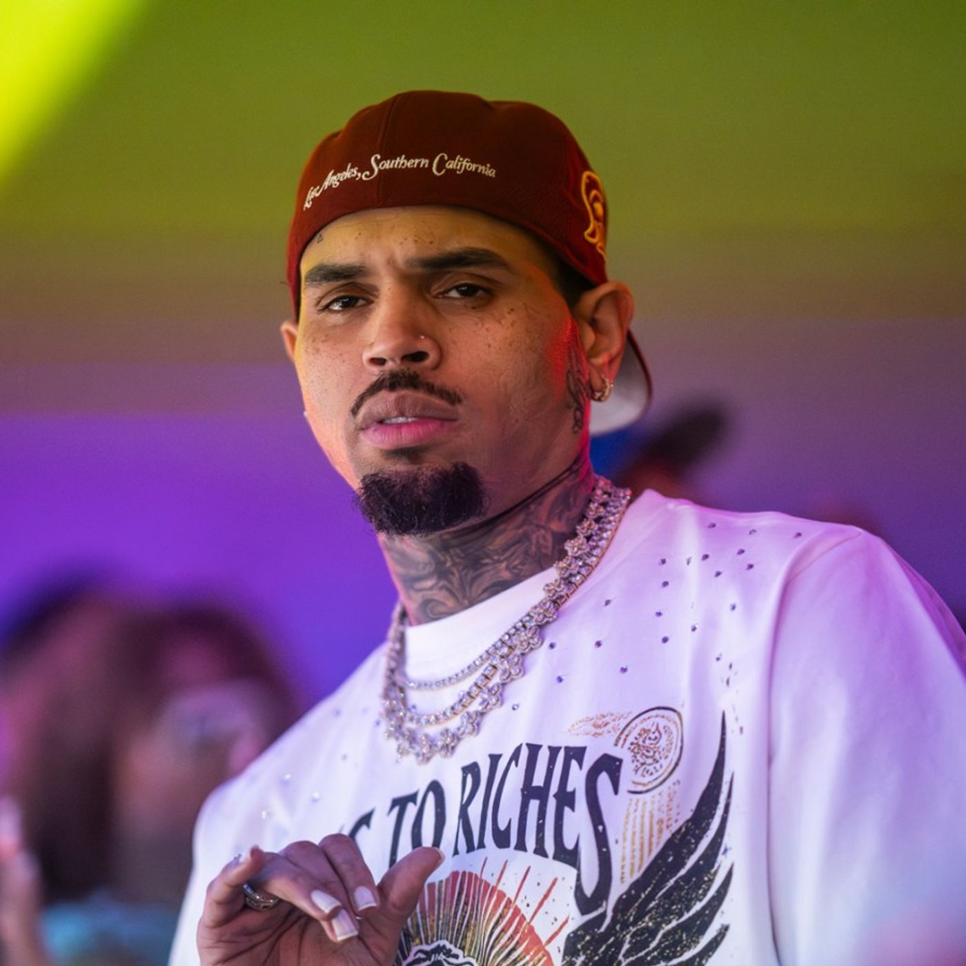 Judge Poised to Slash $12.9 Million Jury Award in Chris Brown Dog Mauling Case