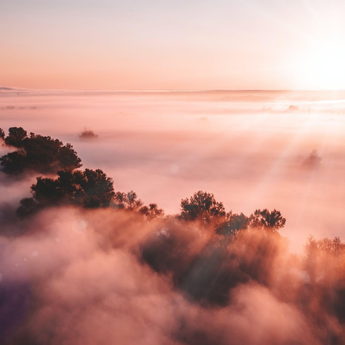 L’alba come atto di responsabilità episode artwork