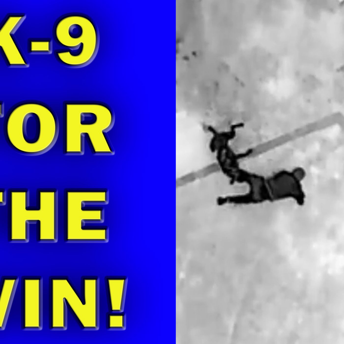 Stunning Drone Footage Shows Moments Suspect Goes Down By K-9! LEO Round Table S10E41 episode artwork