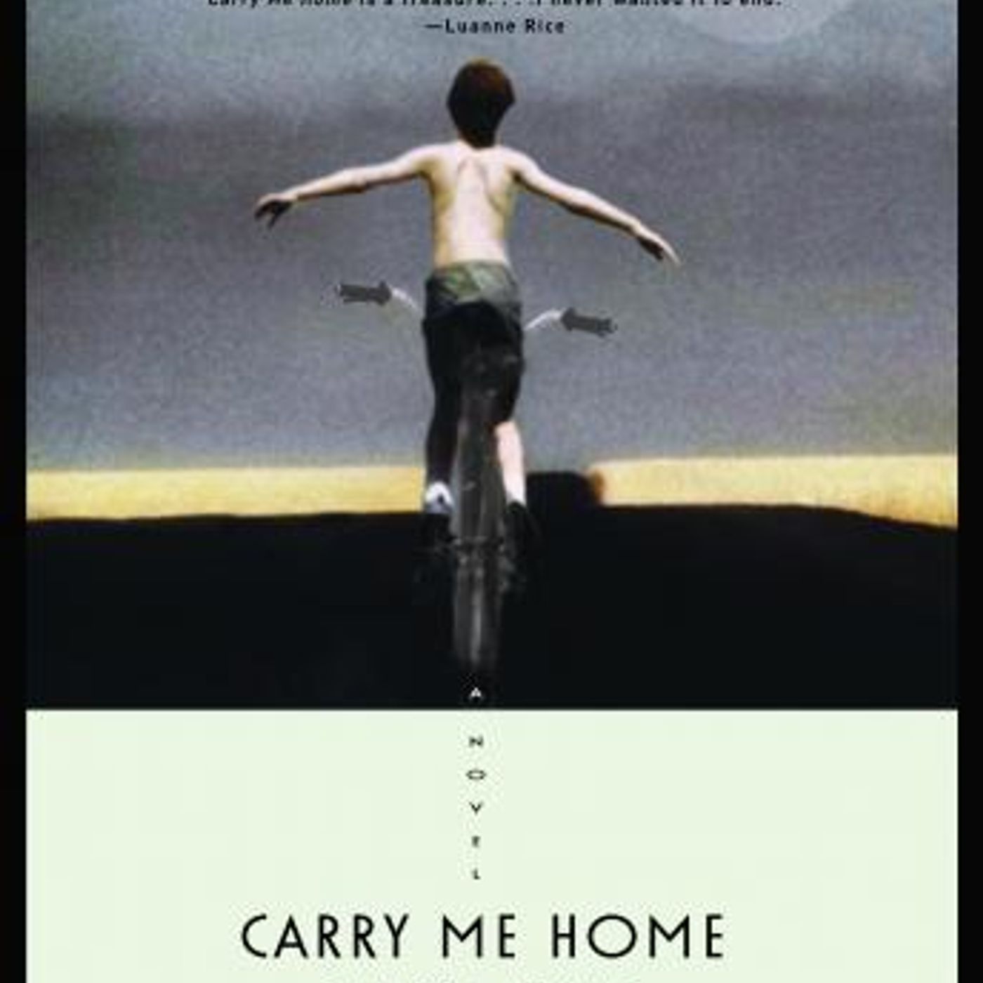 Carry Me Home by Sandra Kring