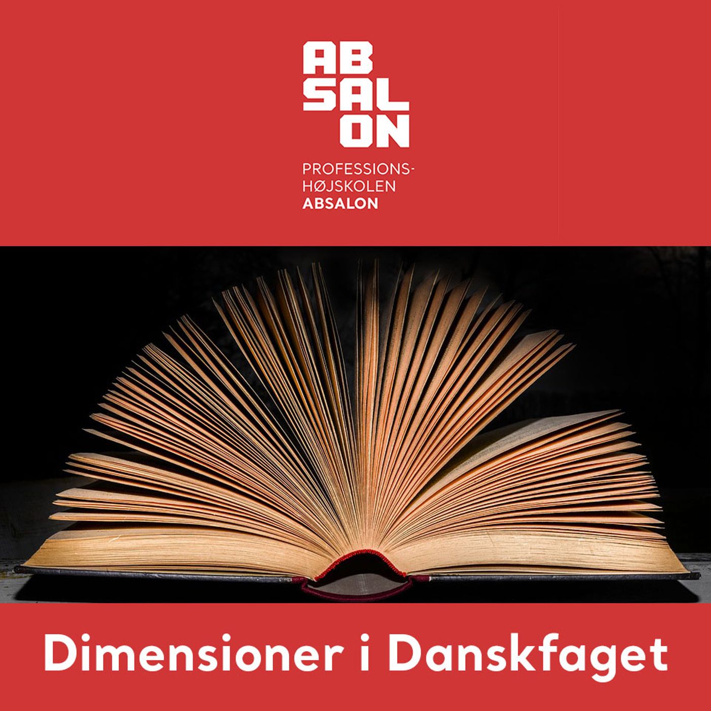 Dimensioner i Danskfaget af Tom Jørgensen