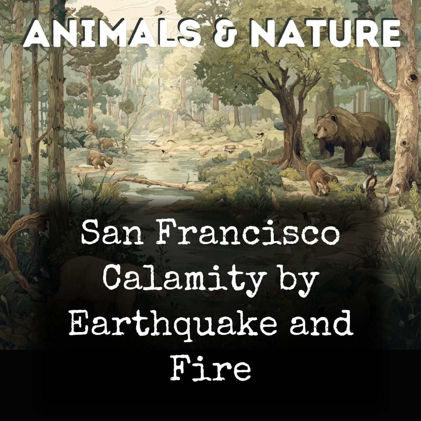 San Francisco Calamity by Earthquake and Fire cover art