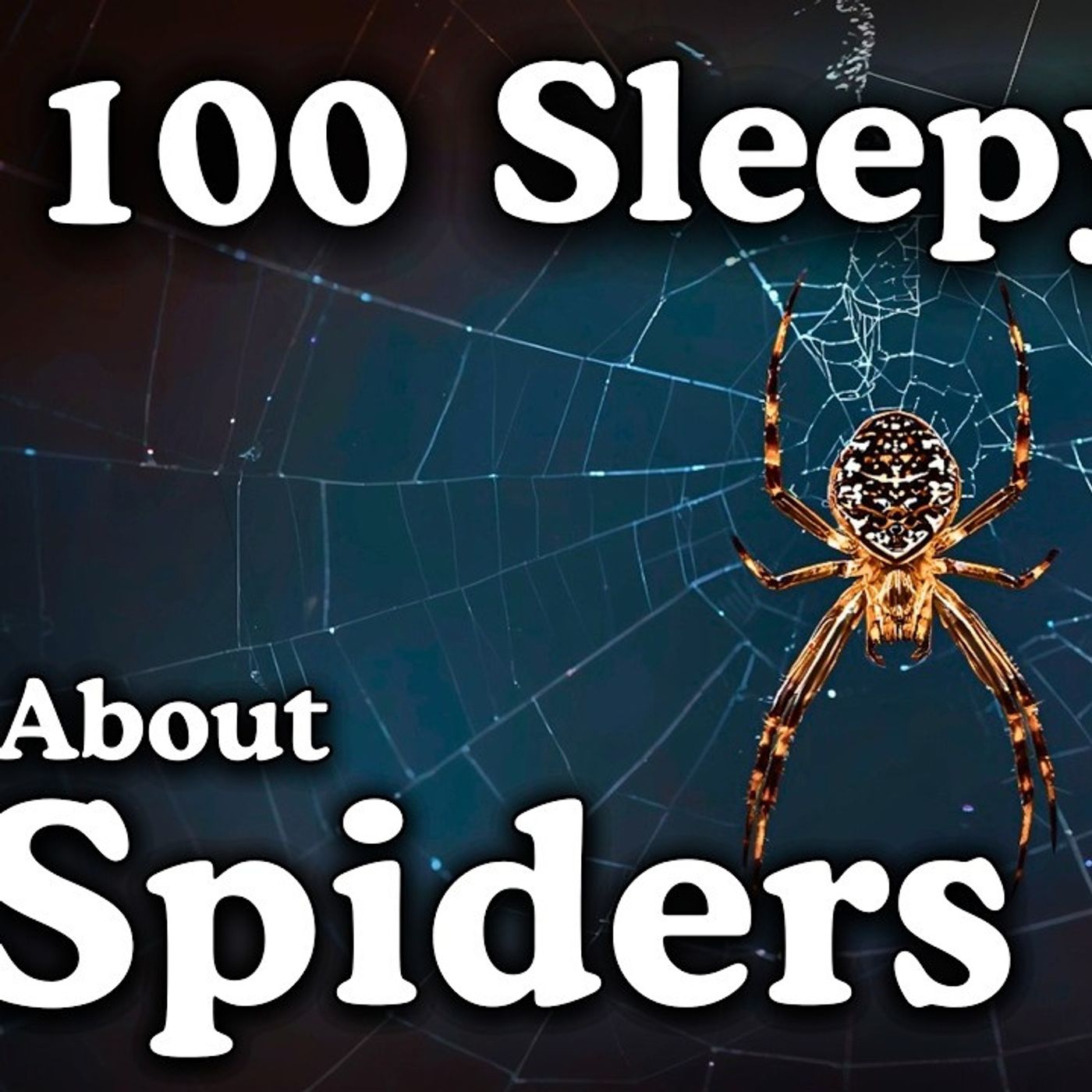 The_Most_Relaxing_Facts_About_Spiders_to_Fall_Asleep_To___No_Adverts episode artwork
