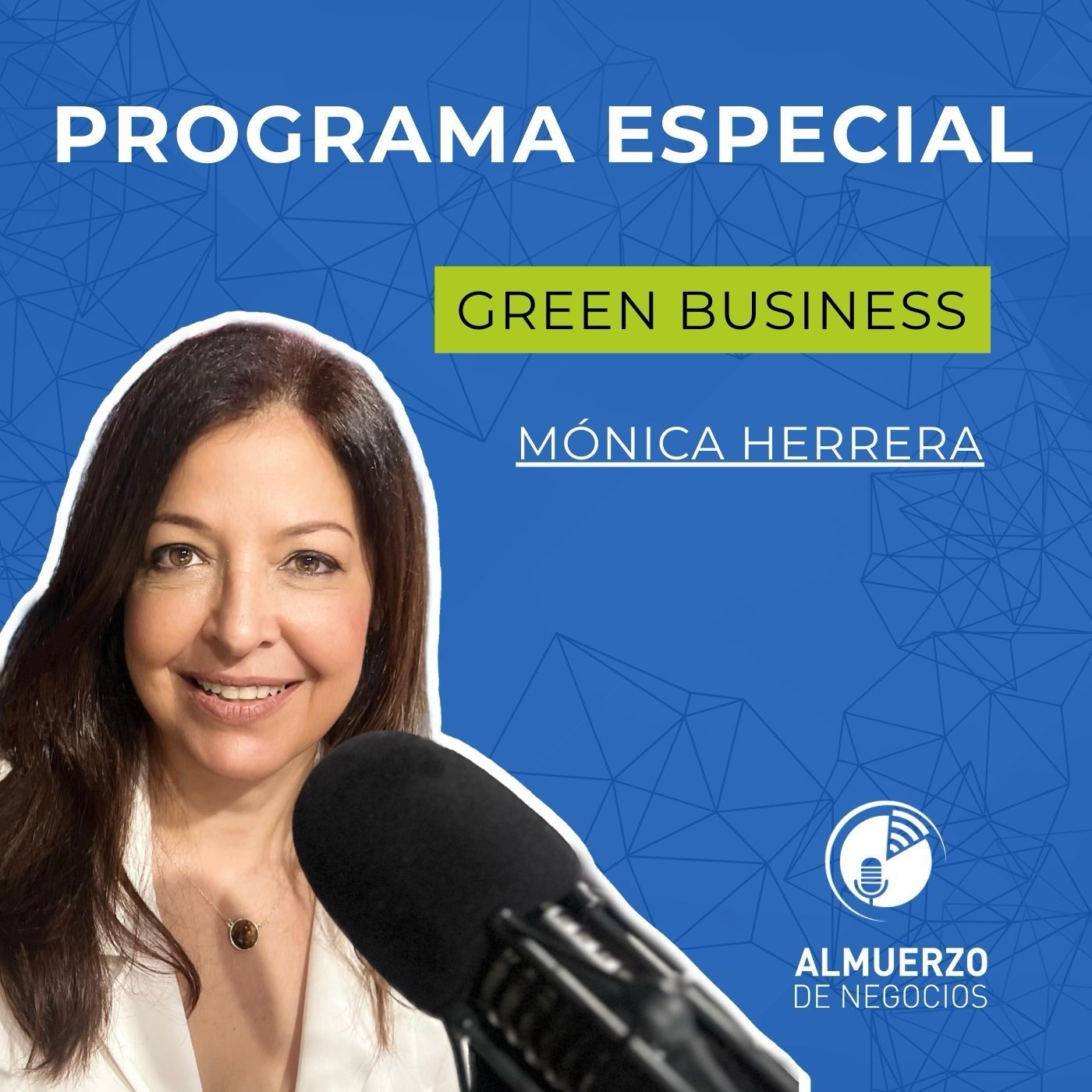 Inicio Programa Especial Green Business con Monica Herrera episode artwork
