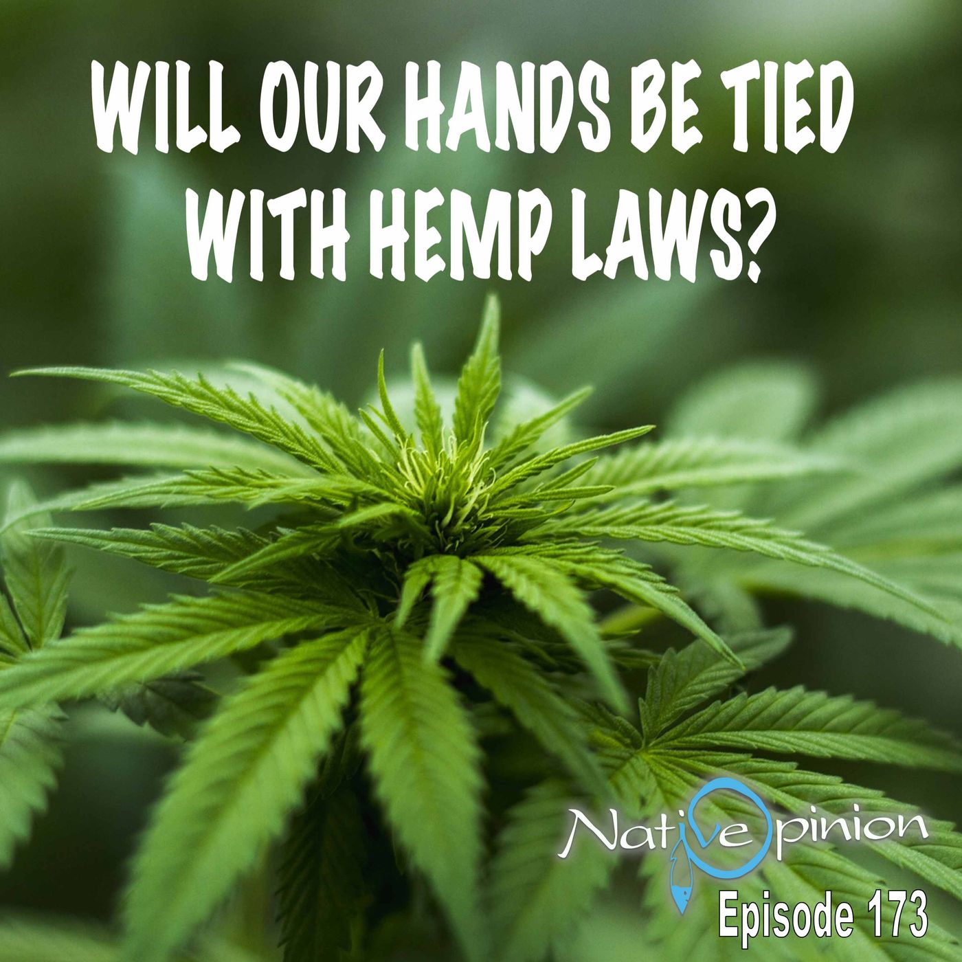 WILL OUR HANDS BE TIED WITH HEMP LAWS?