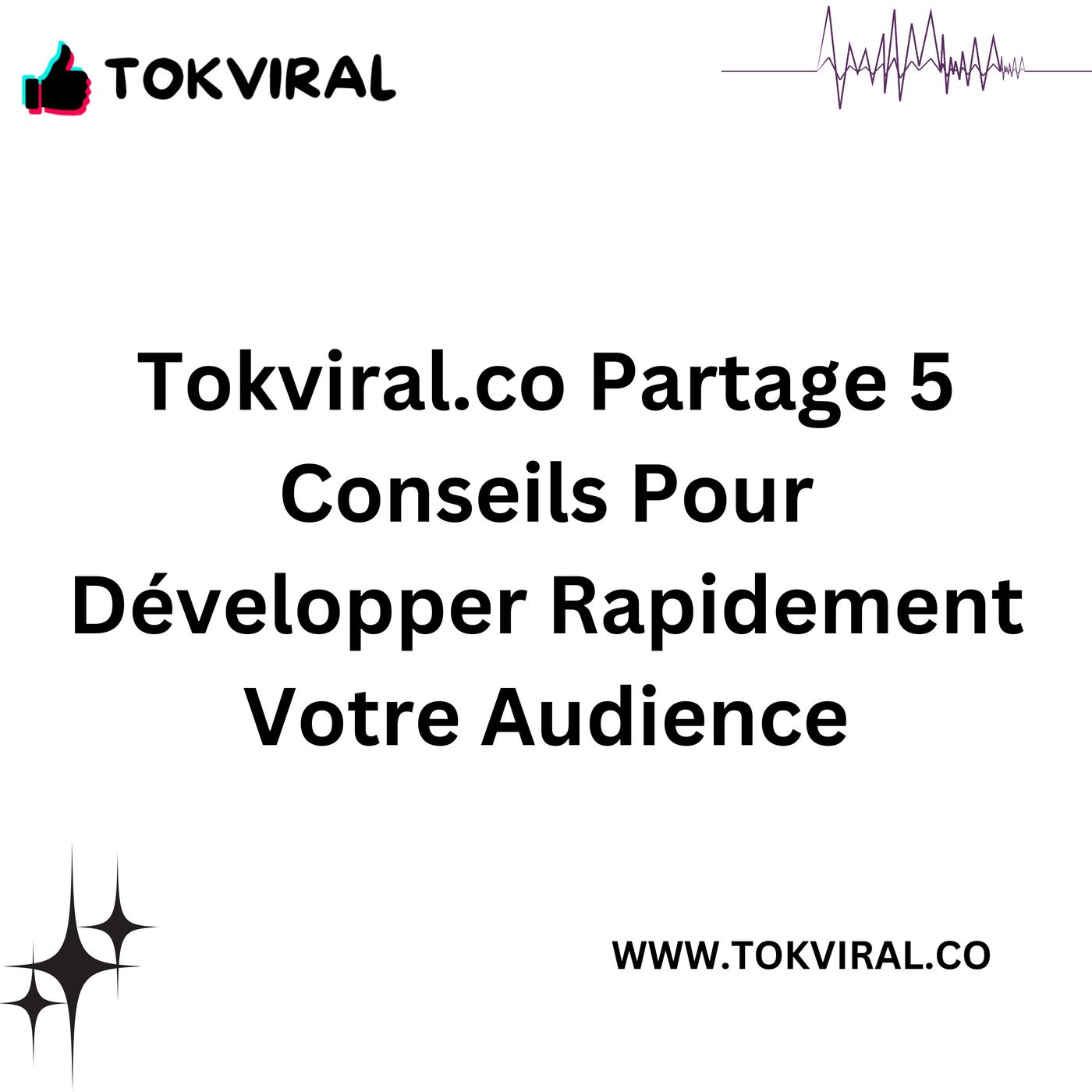 TokViral.co partage 5 conseils pour développer rapidement votre audience episode artwork