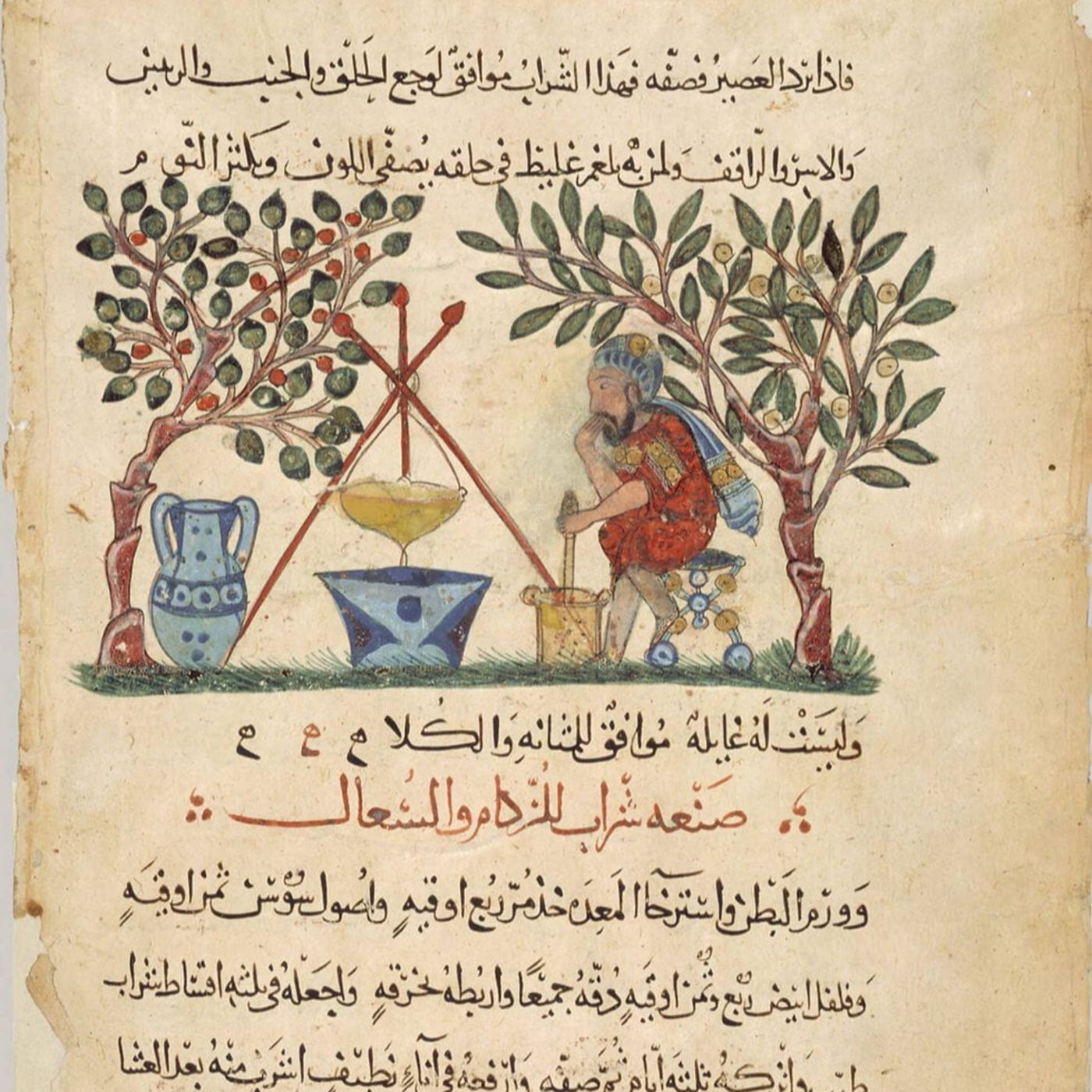 Cronache Di Cucina