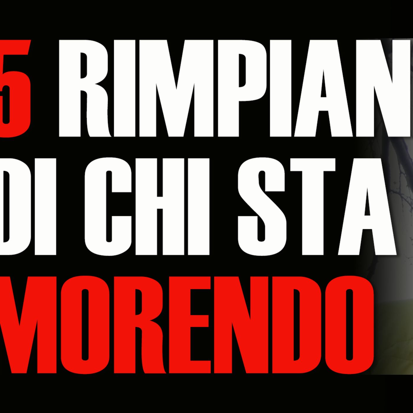 I 5 rimpianti di chi sta MORENDO