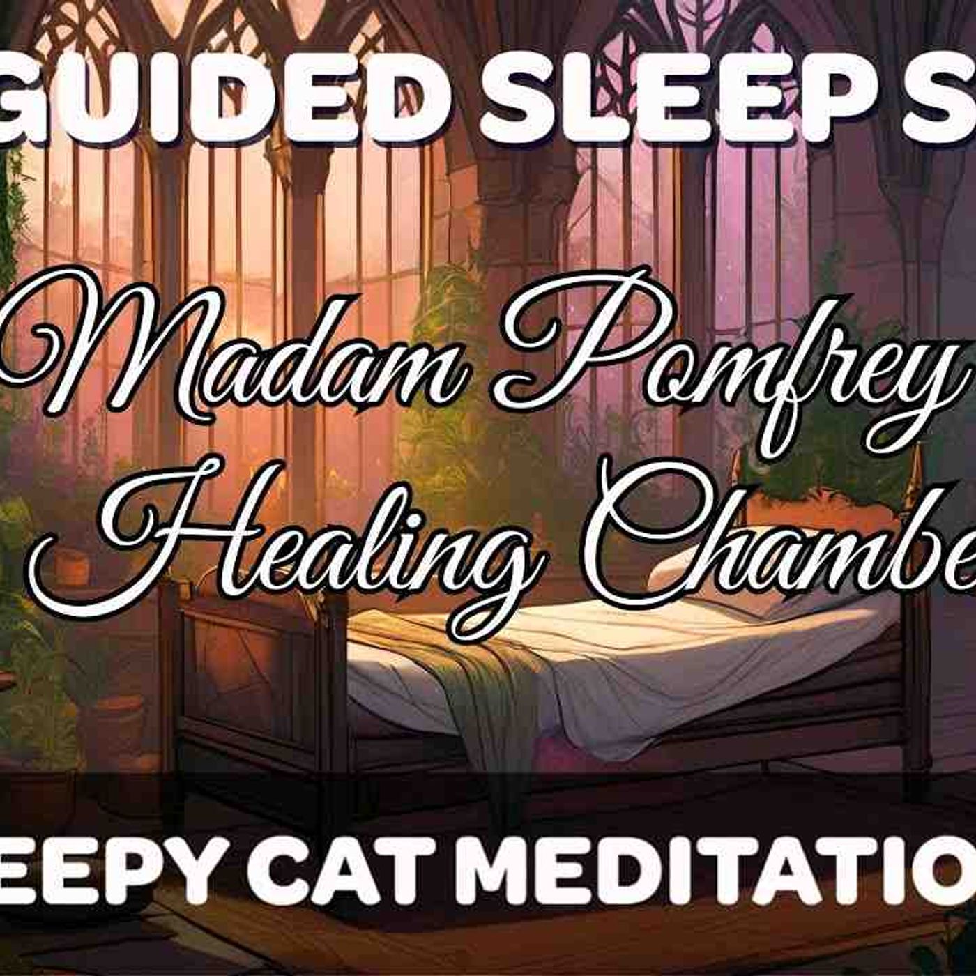 Harry Potter Exclusive Story _ Christmas Offer from Sleepy Cat(MP3_160K) episode artwork